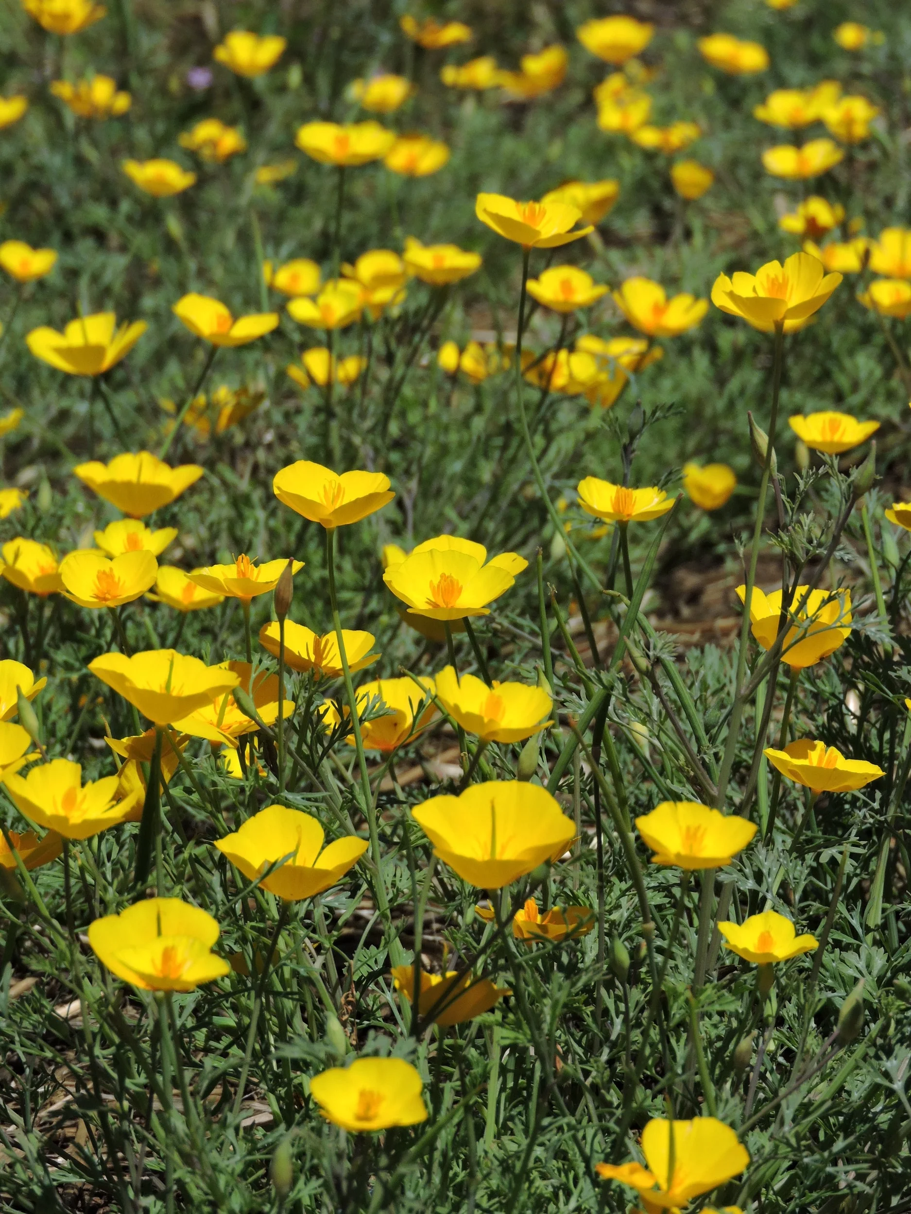 DSCN9577.JPG