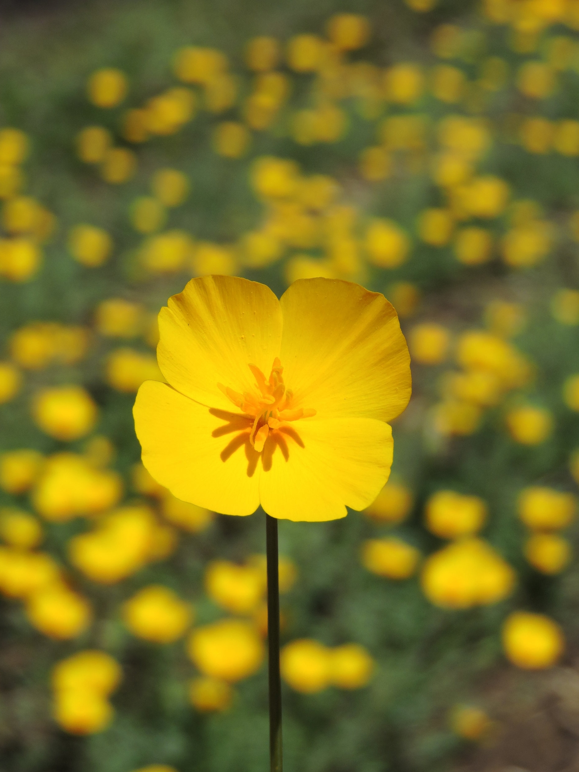 DSCN9576.JPG