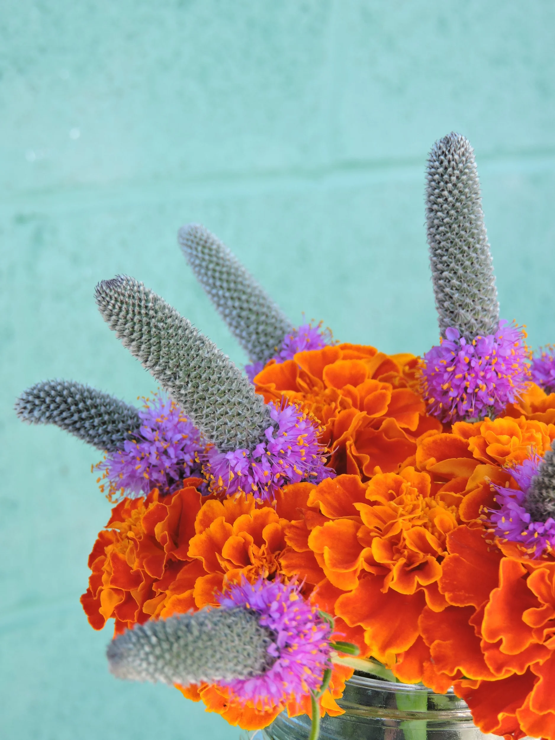 DSCN9706.jpg