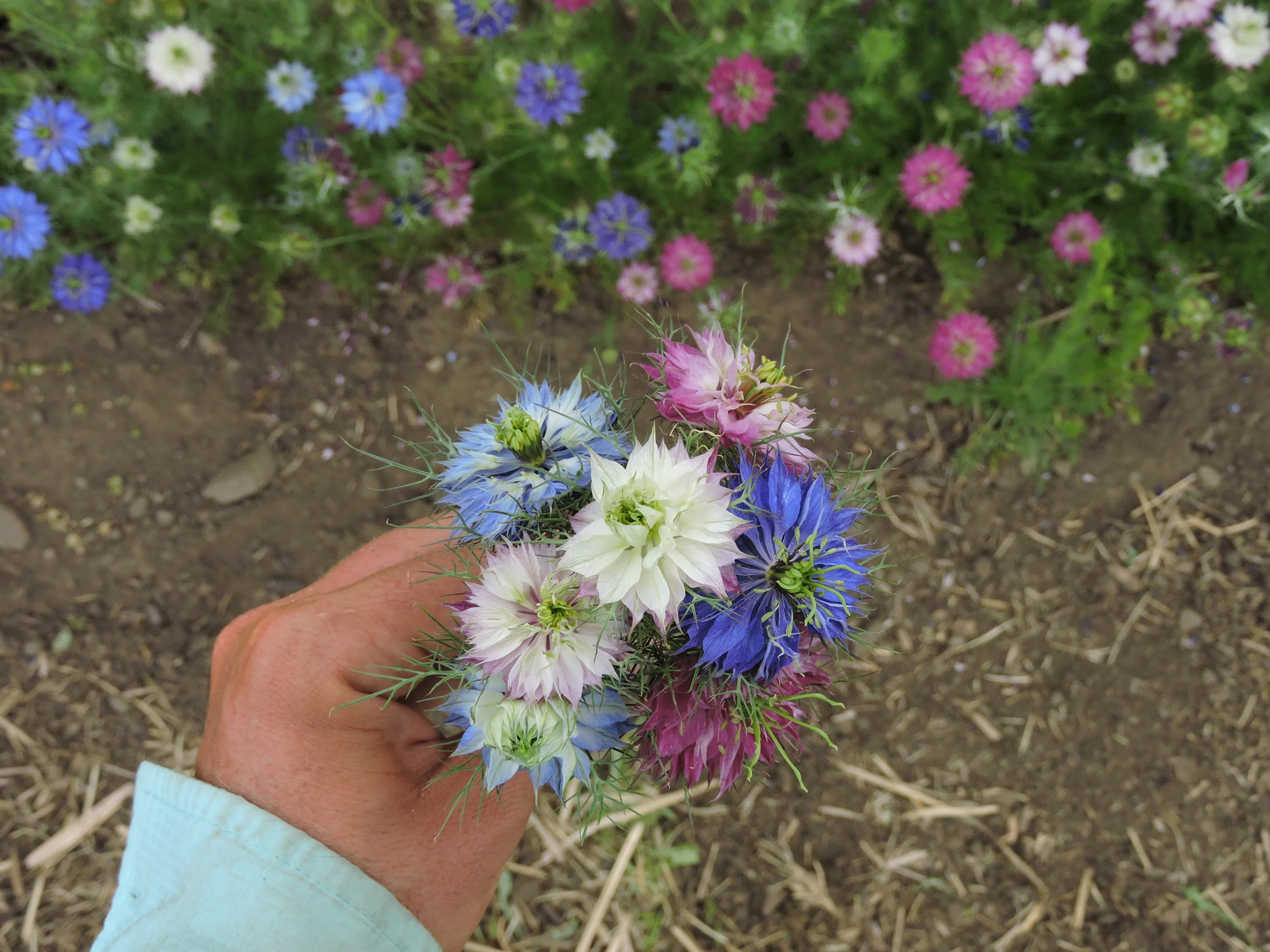 DSCN9771.JPG
