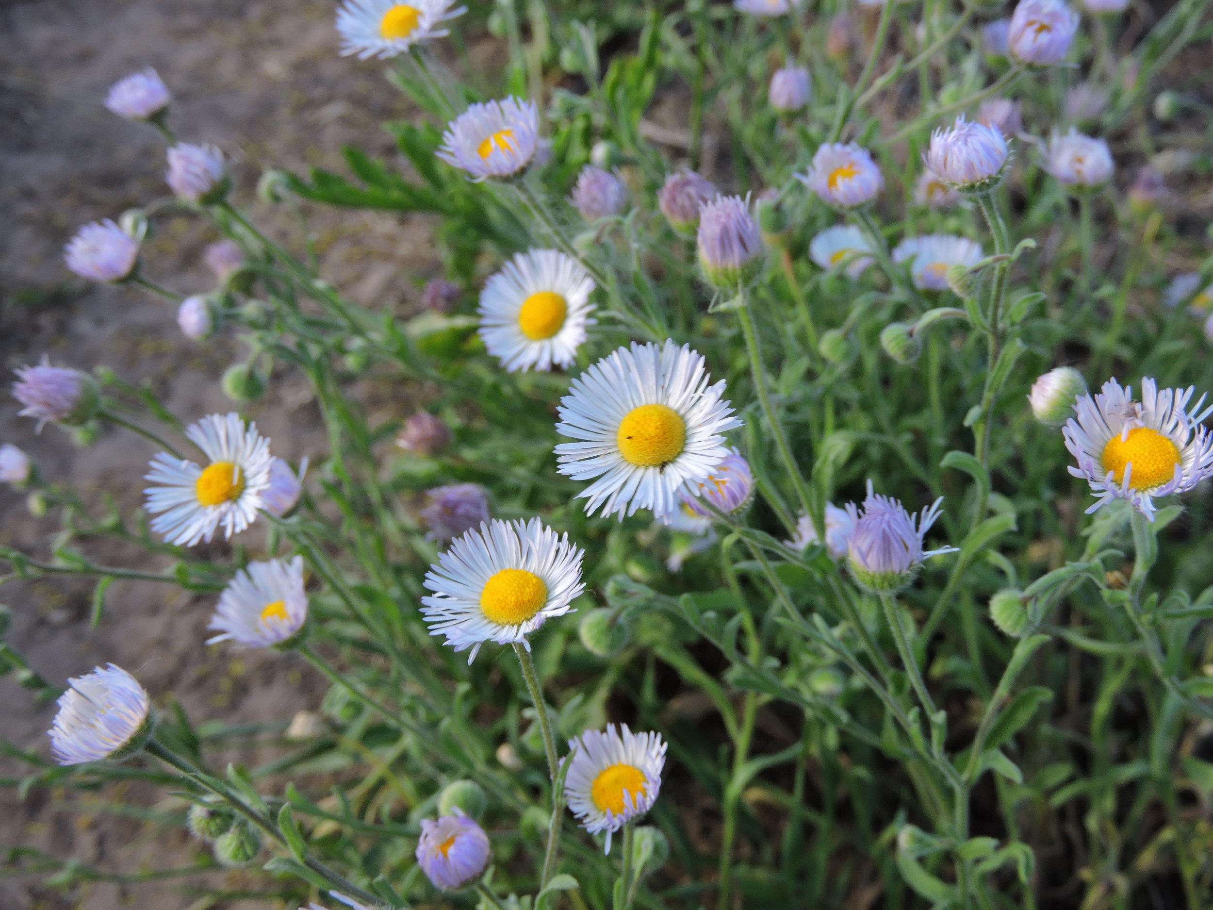 DSCN9673.JPG