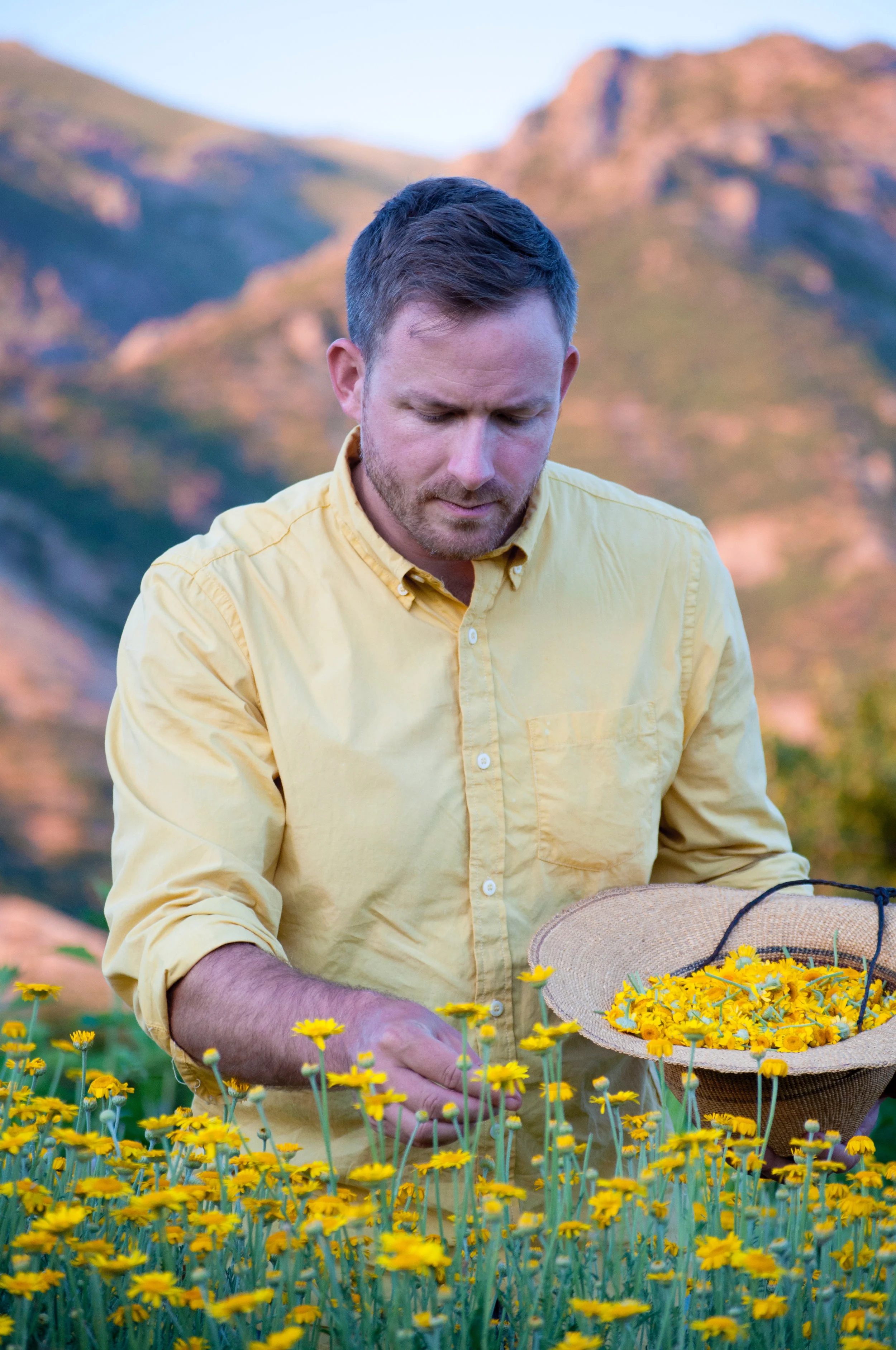Shirt of Many Colors: Draped in Summer’s Sun
