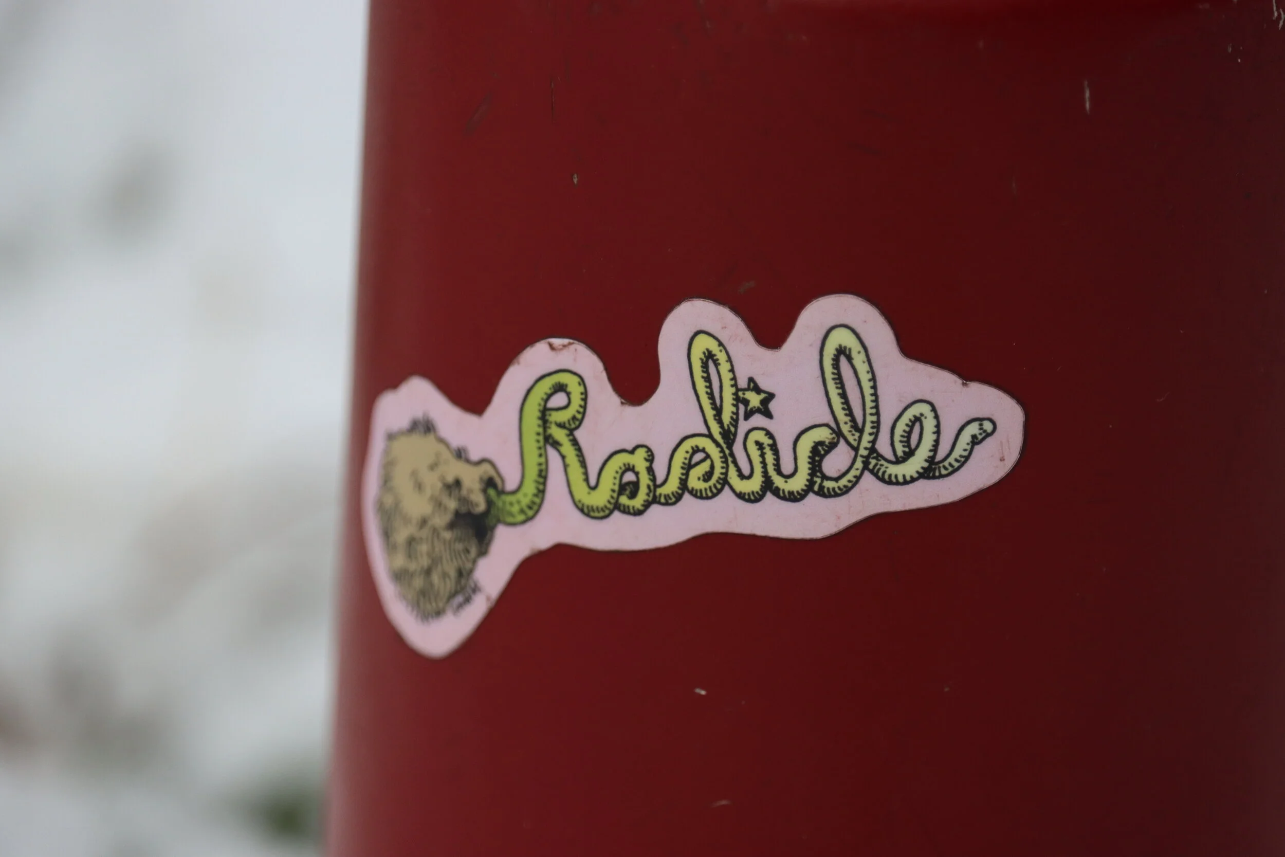 Radicle Sticker 🌱