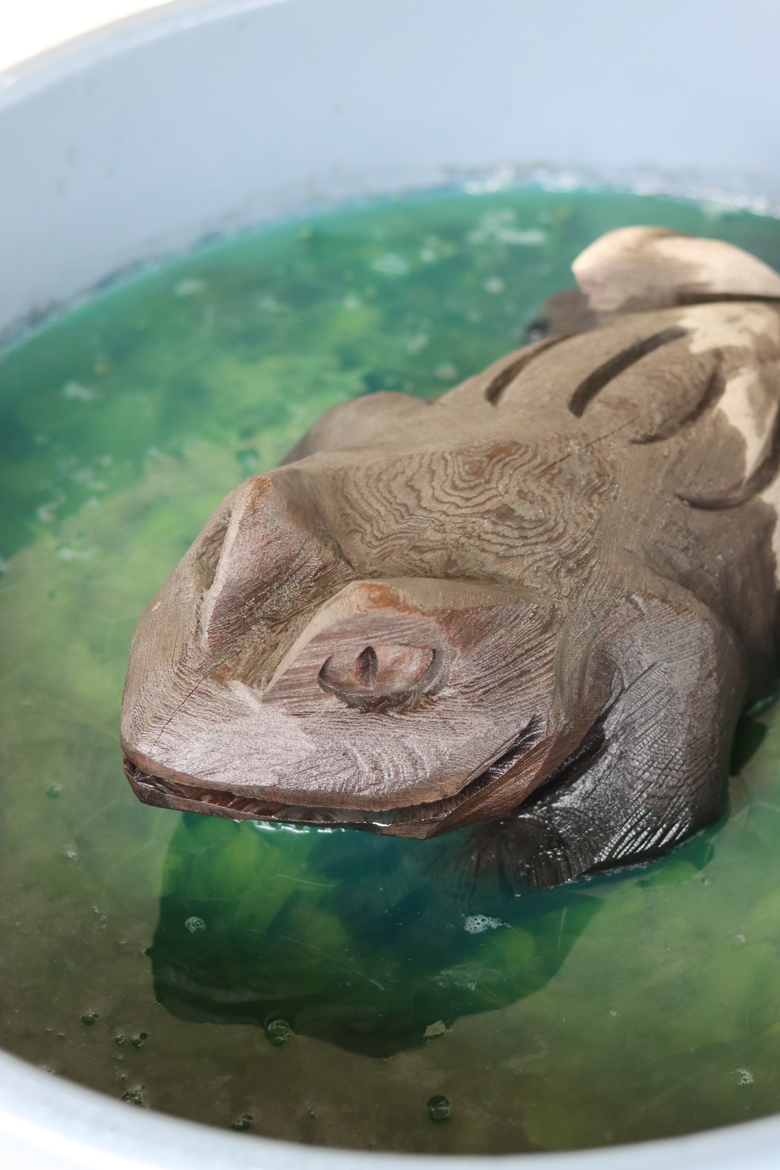 Grand Prismatic Seed