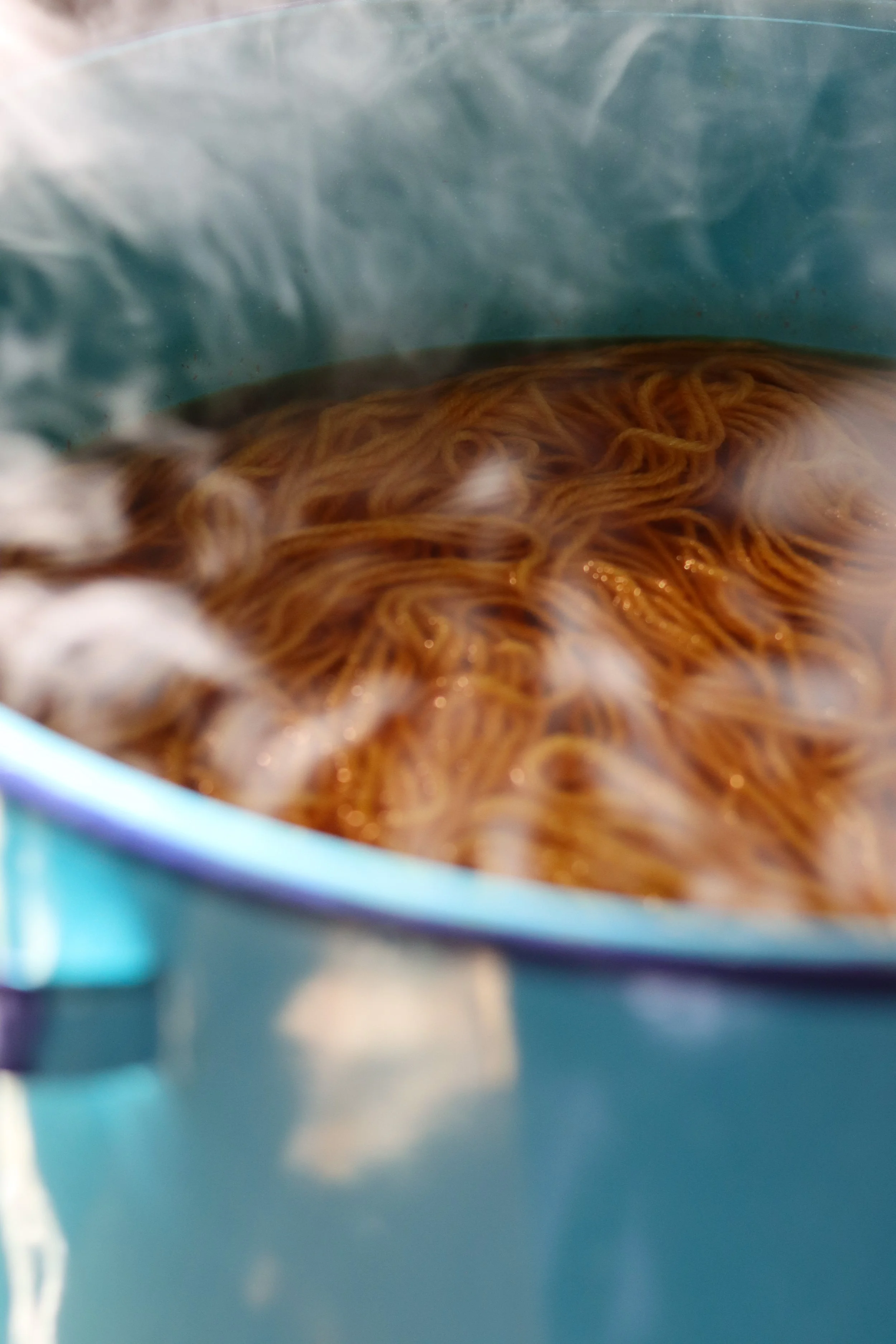 heatedsafflowerdye.JPG