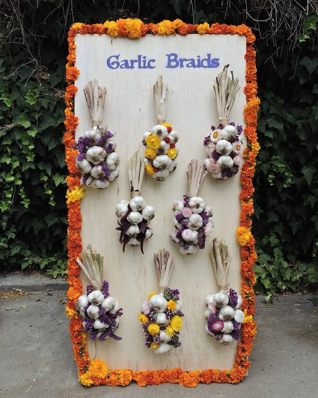 Next year&rsquo;s garlic crop was tucked into the earth today. Now to daydream about what dried flowers and seed pods we&rsquo;ll grow to join them in braids next season 💕

✨🌸🧄🌼✨

#garlic #garlicbraids #flowerfarmer #driedflowers