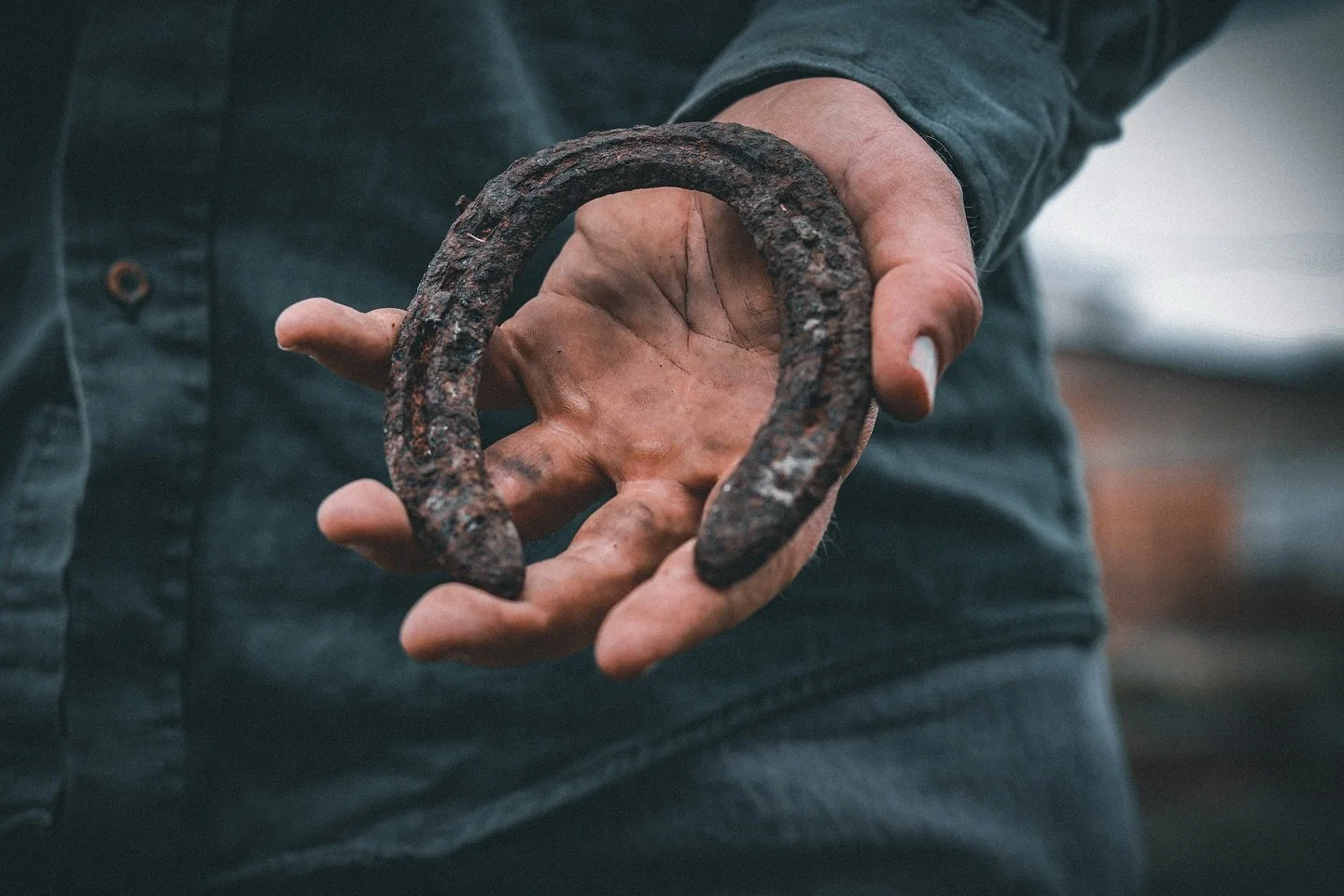 Yesterday at dusk, while prepping a madder bed for harvest, I stumbled on something I had hidden from myself. In 2020, in the early days of the pandemic, I was preparing this same ground when I unearthed a horseshoe. In the eerie and anxious quietnes