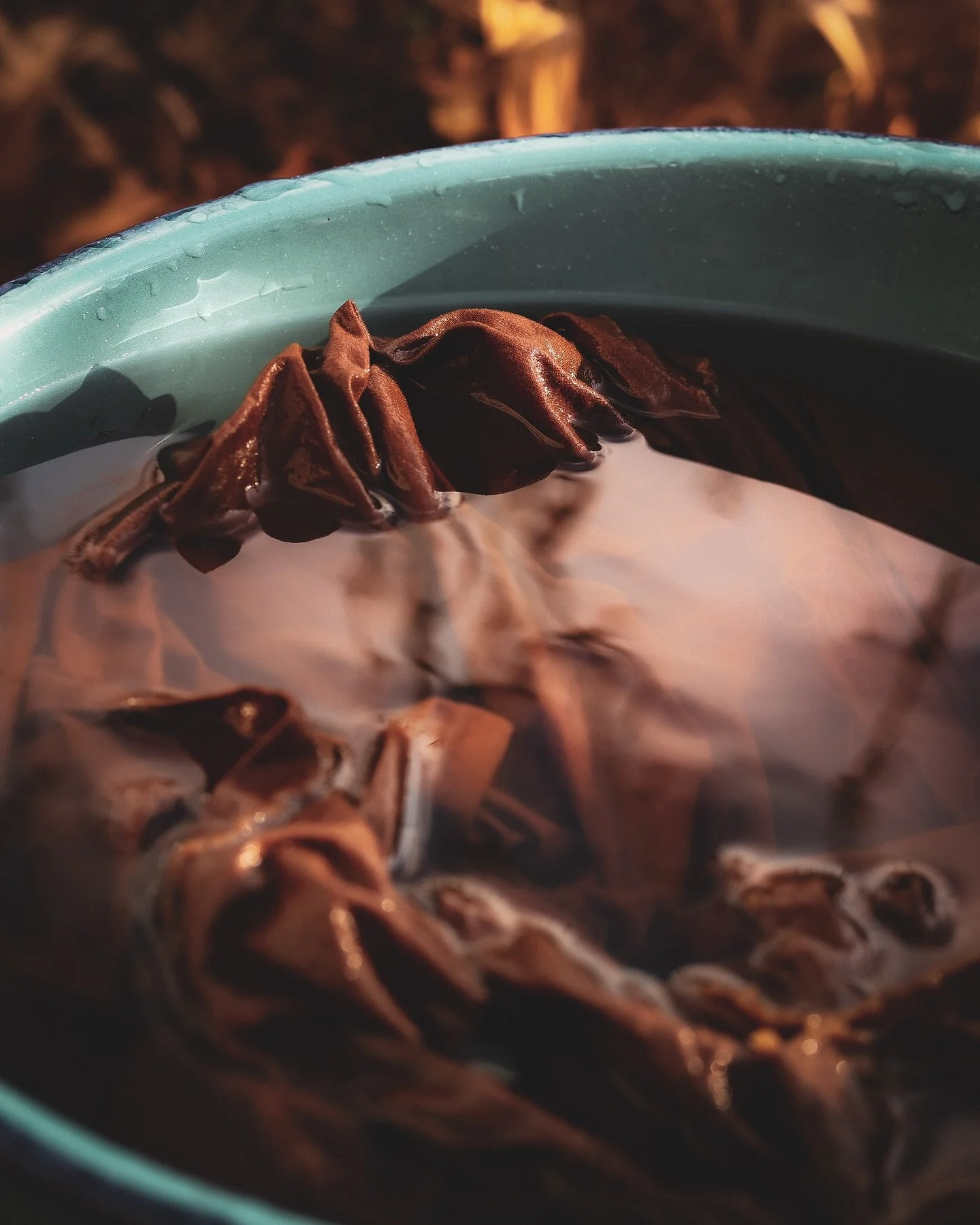 This summer&rsquo;s dyer&rsquo;s coreopsis flowers are making some beautiful autumn colors in the dye pot 🍂

#wildflowersofnorthamerica #coreopsistinctoria #naturaldye #dyeplants #dyerscoreopsis