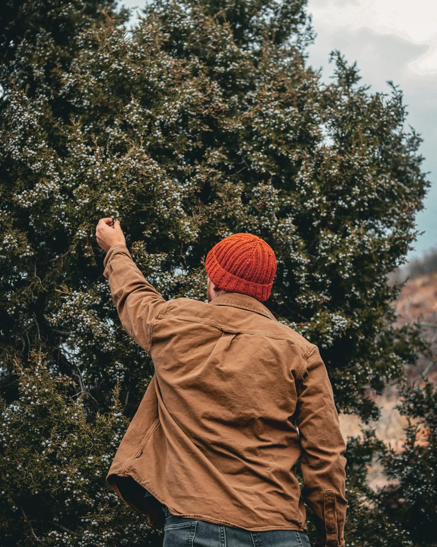 New beanie fresh off the needles 🧡. Dyed with a new-to-us plant that&rsquo;s also a Southwest native wildflower. What plant is it? You&rsquo;ll have to wait for our 2026 catalog that drops the first week of January 👀

Pattern is the #brighat from B