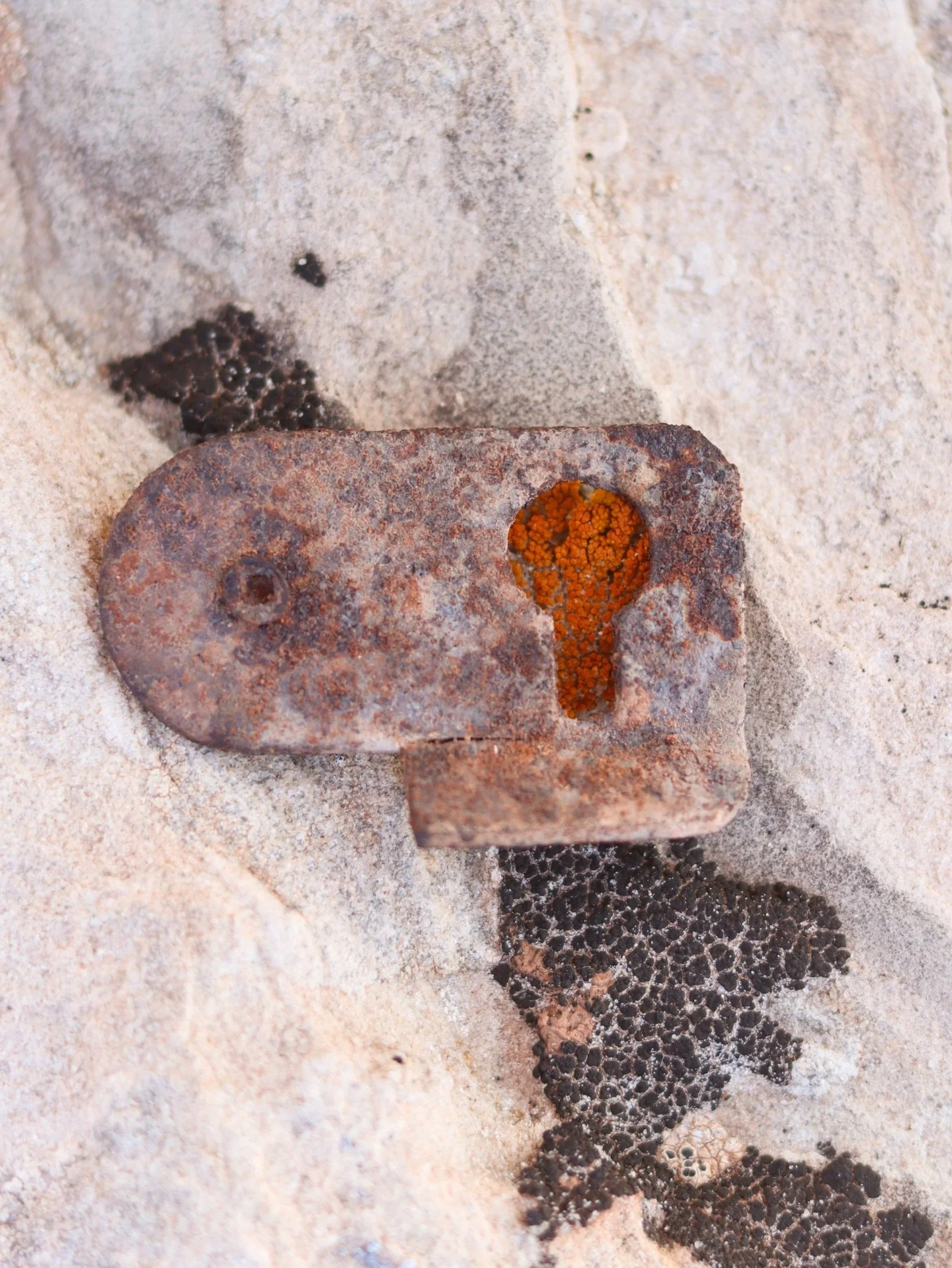 Came across a rusty keyhole on the Colorado Plateau. A perfectly weathered little frame to showcase these lichen colors 🥹.