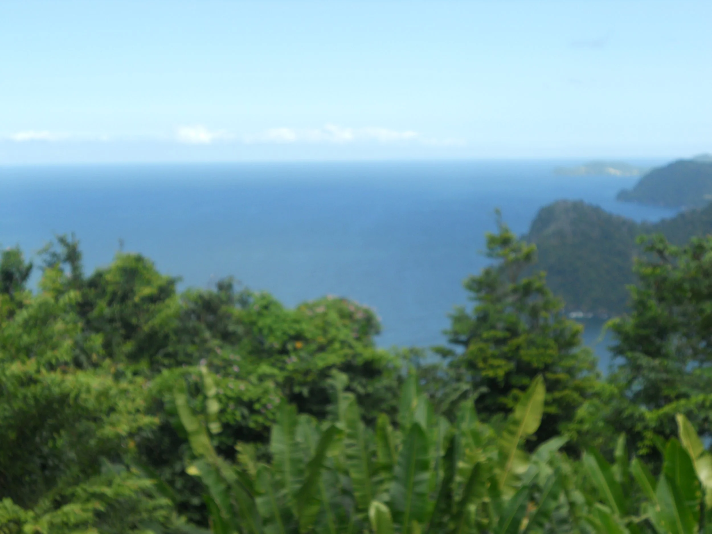 DSCN1442.JPG