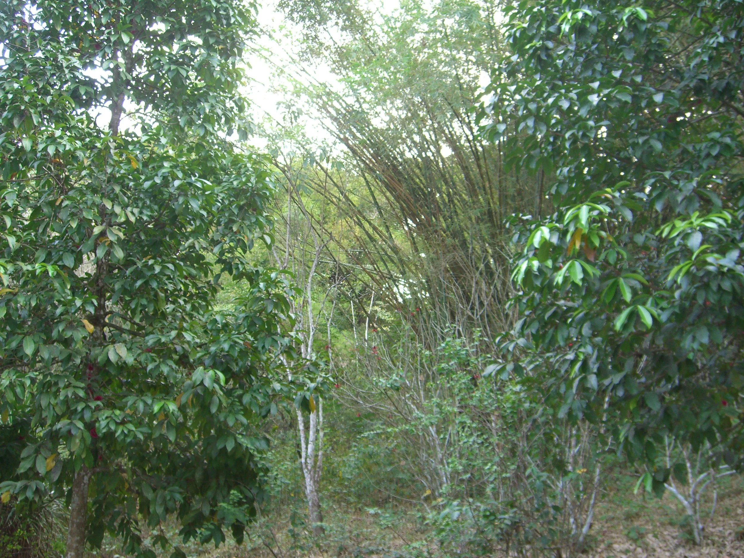 CIMG1566.JPG