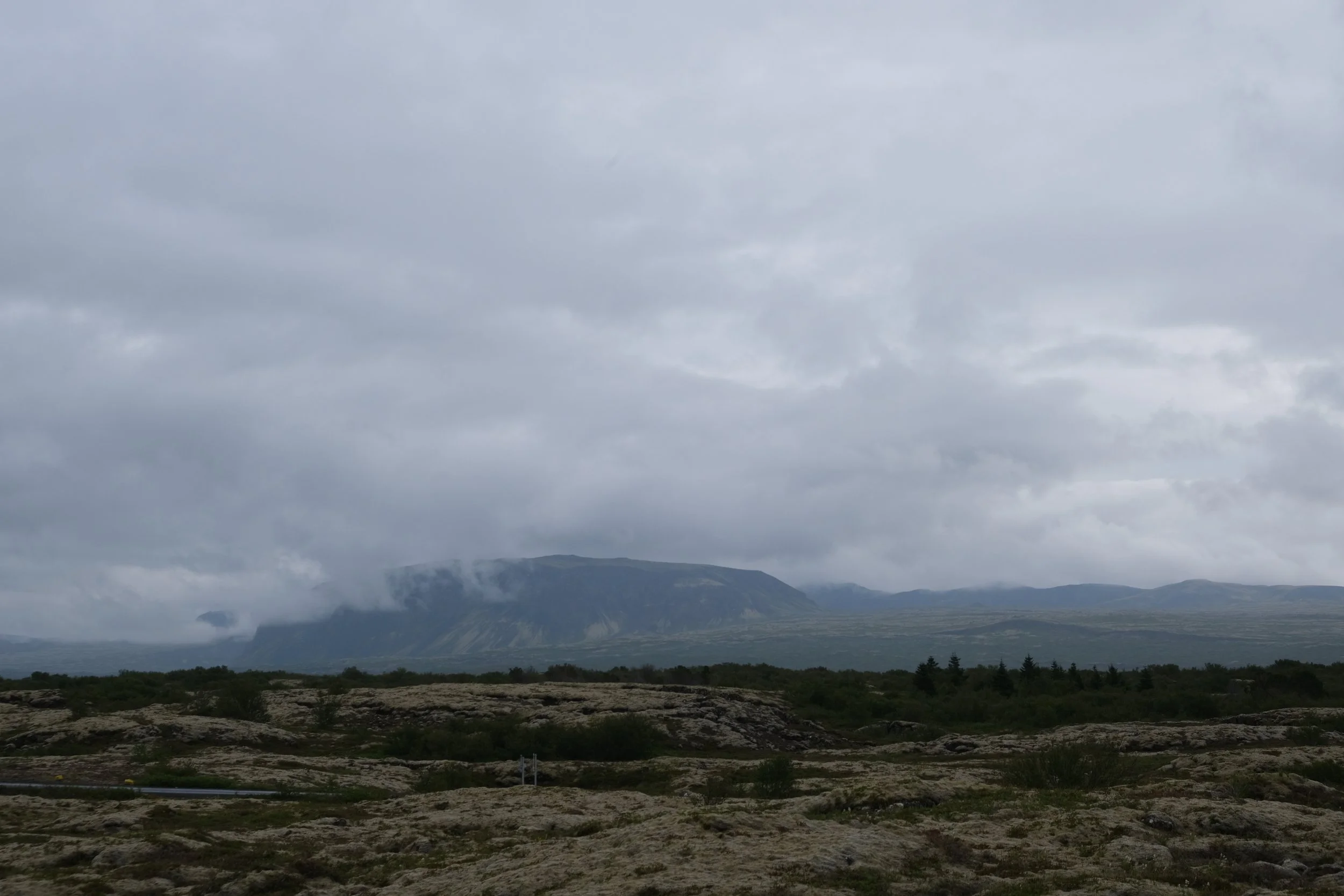 DSCF2173.JPG