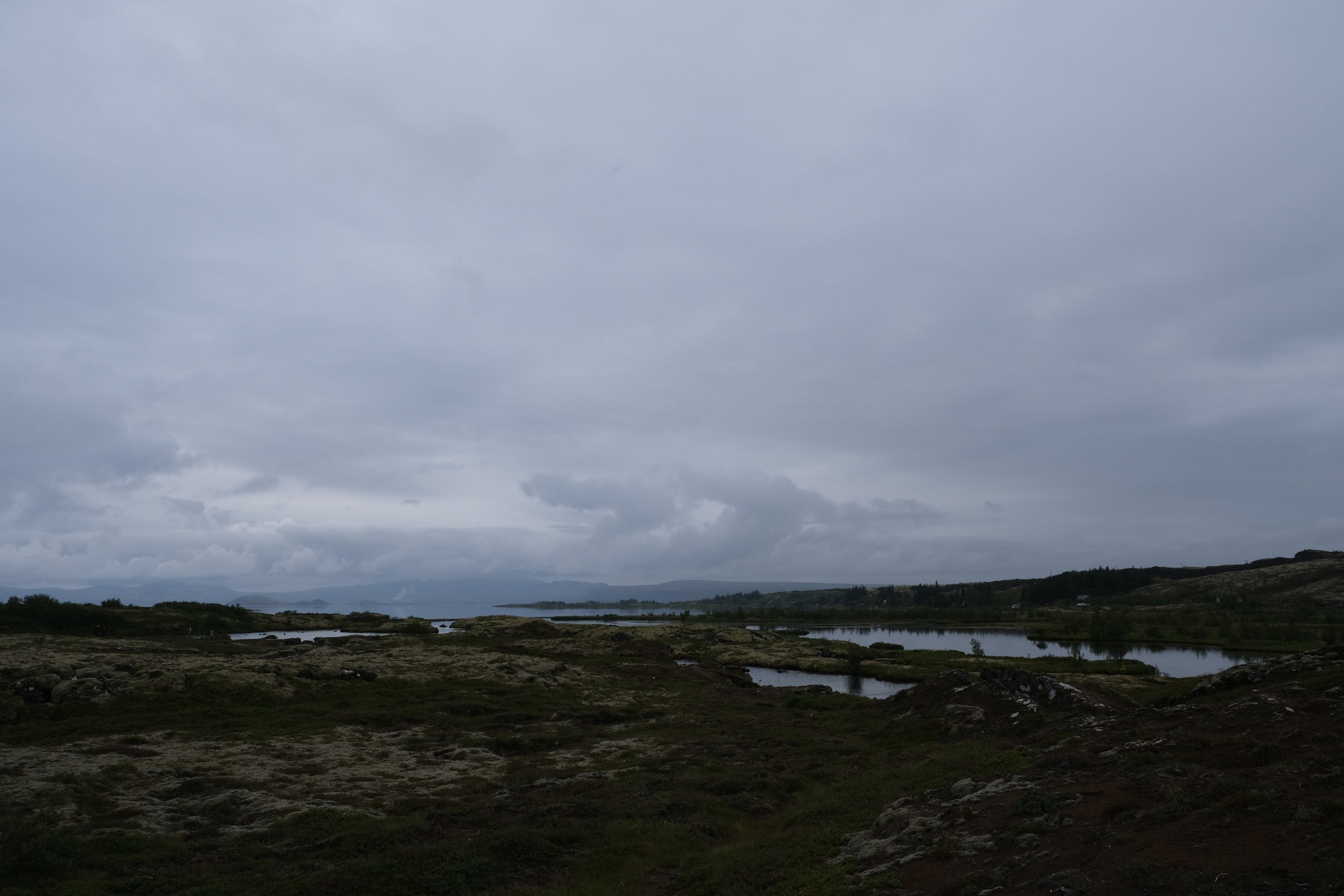 DSCF2176.JPG