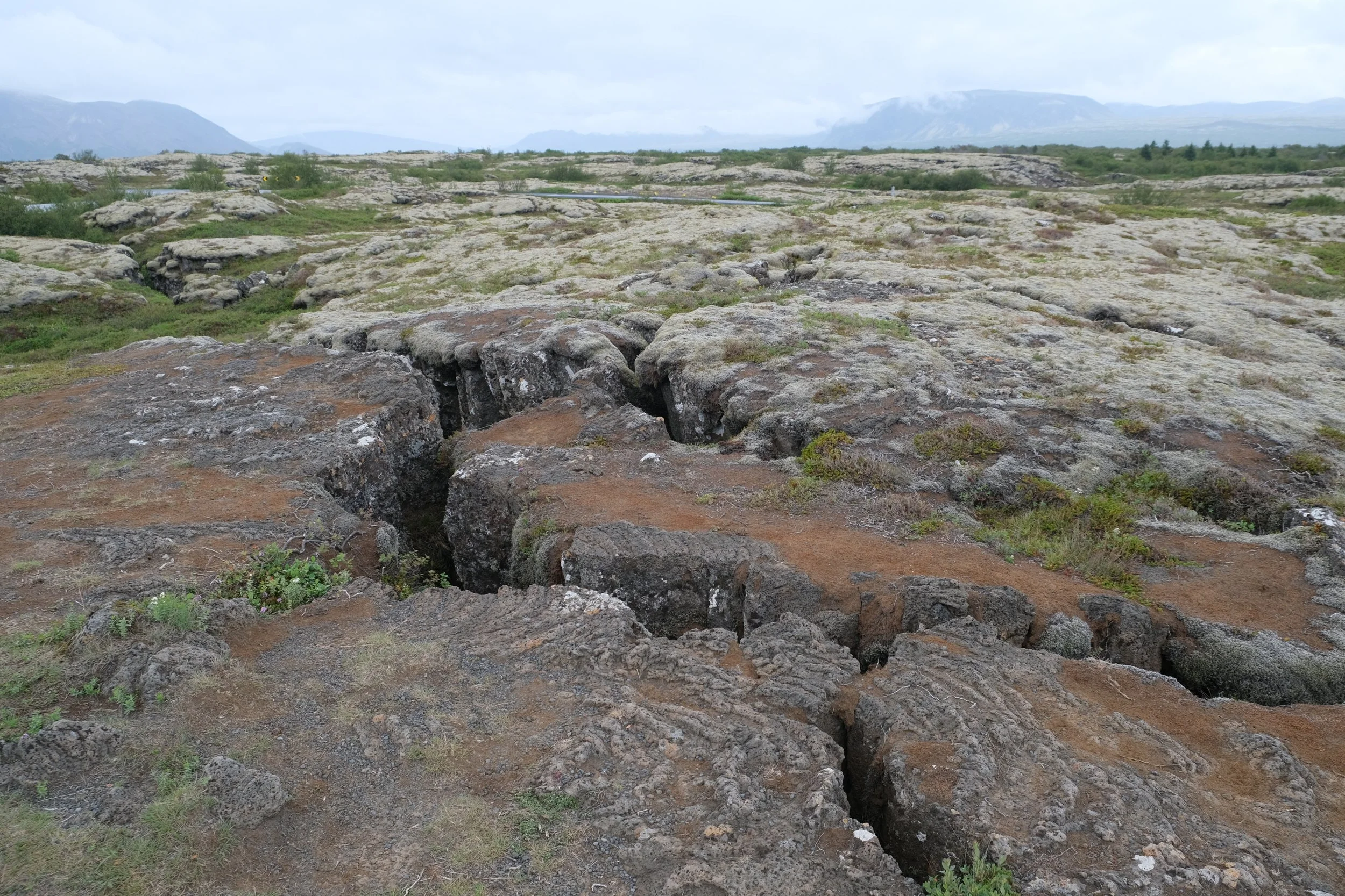 DSCF2177.JPG