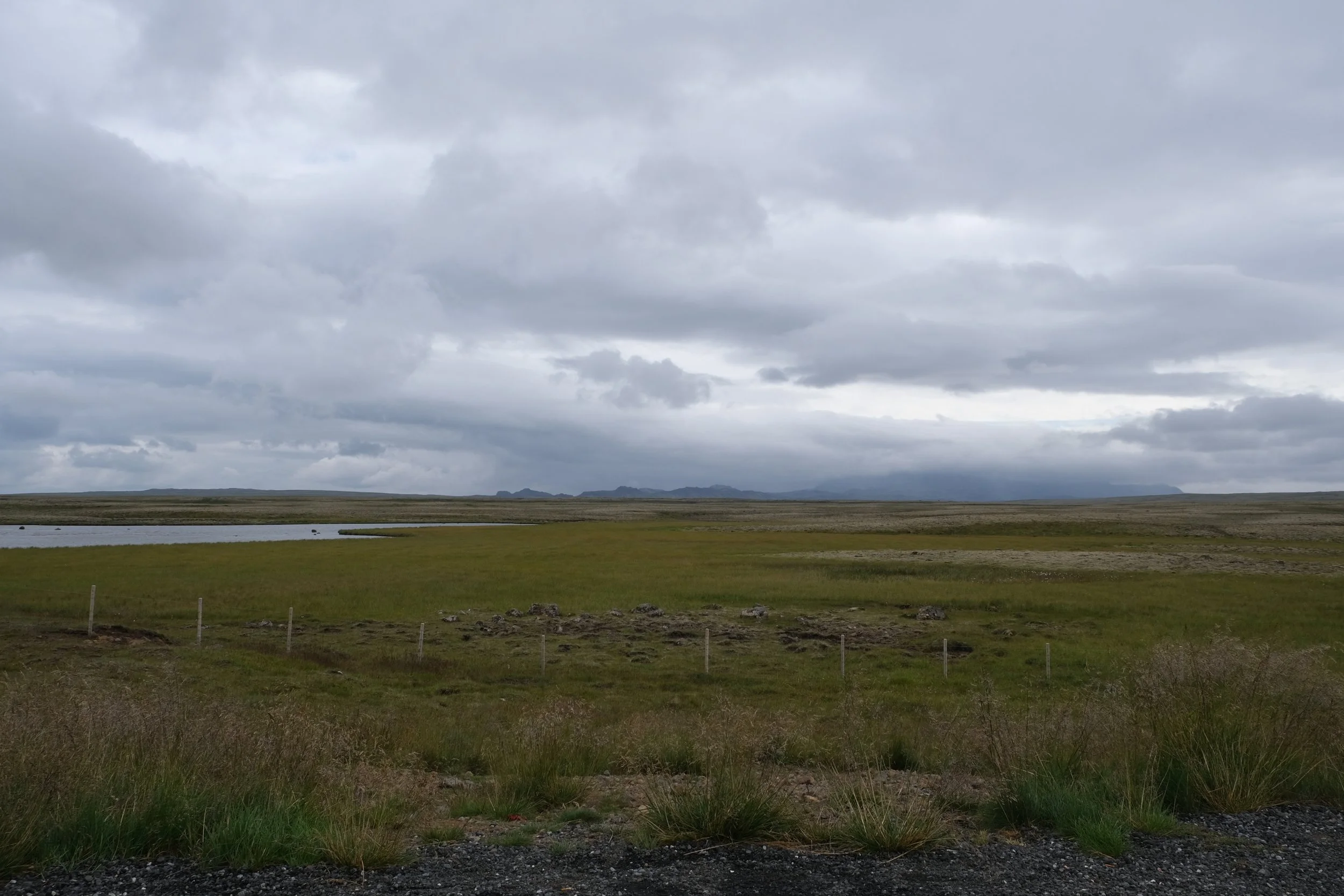DSCF2178.JPG