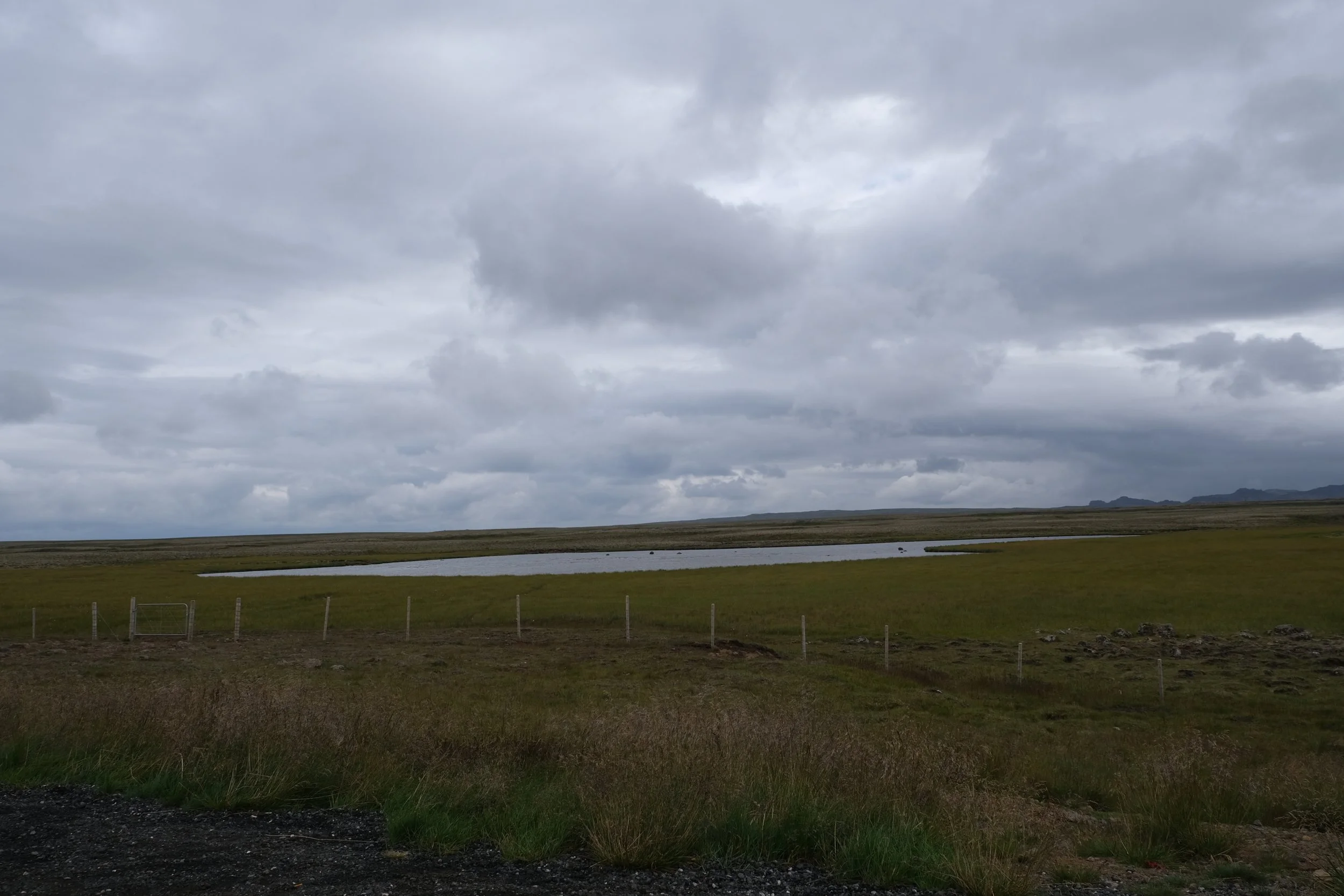 DSCF2179.JPG