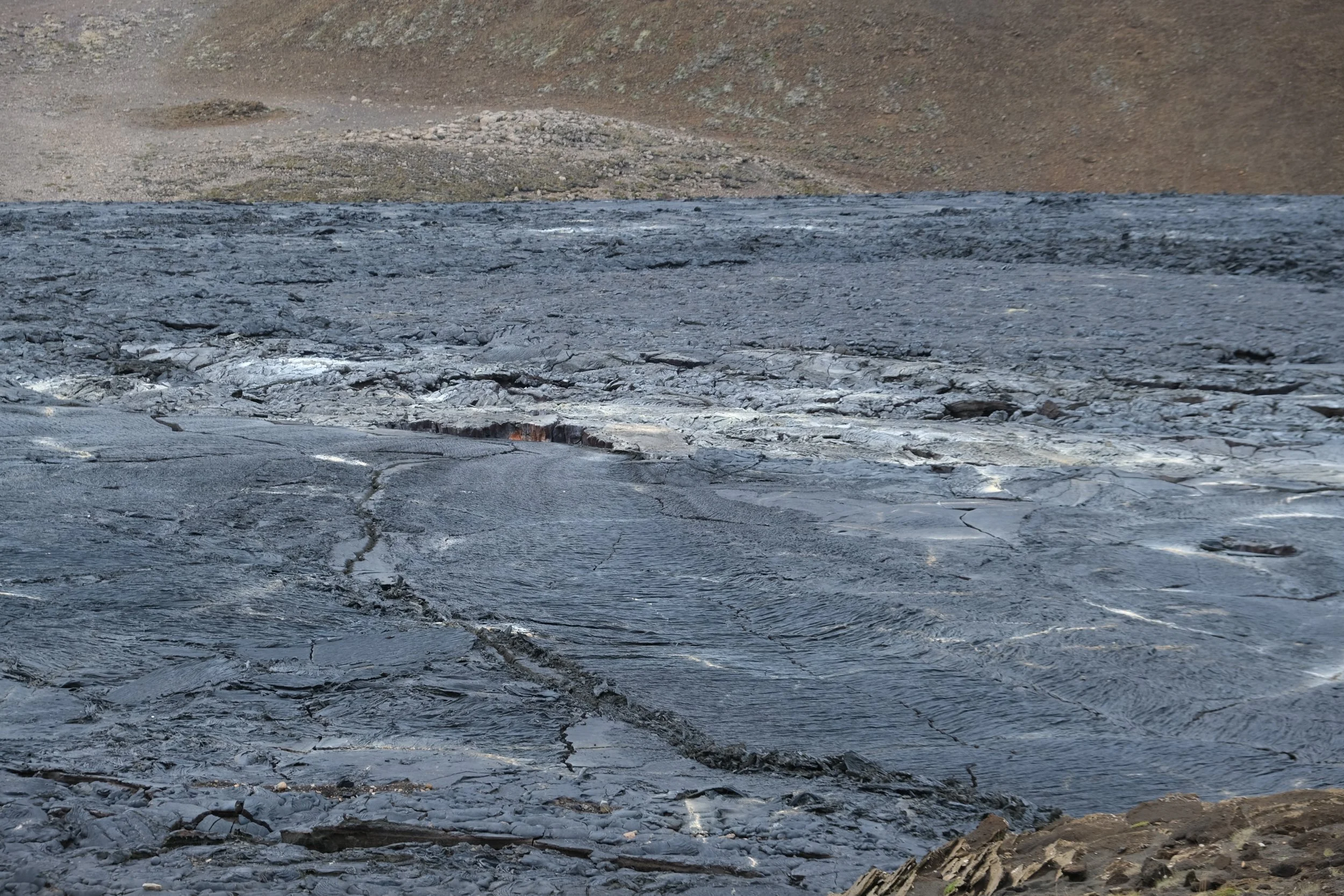 DSCF2226.JPG