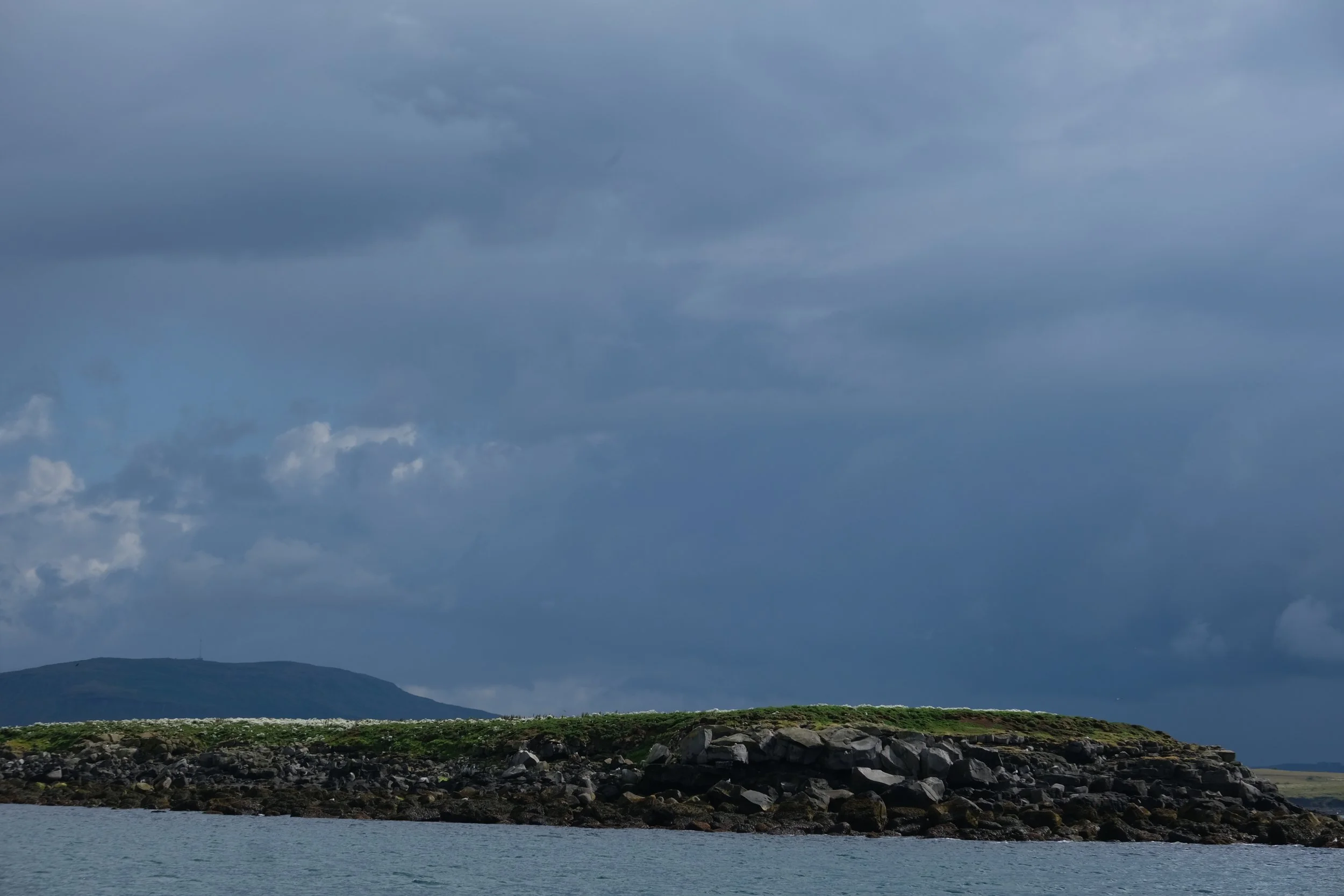 DSCF2253.JPG