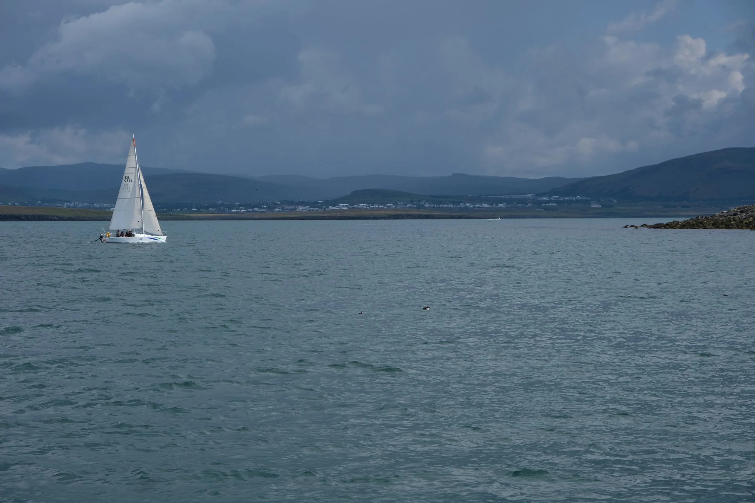 DSCF2255.JPG