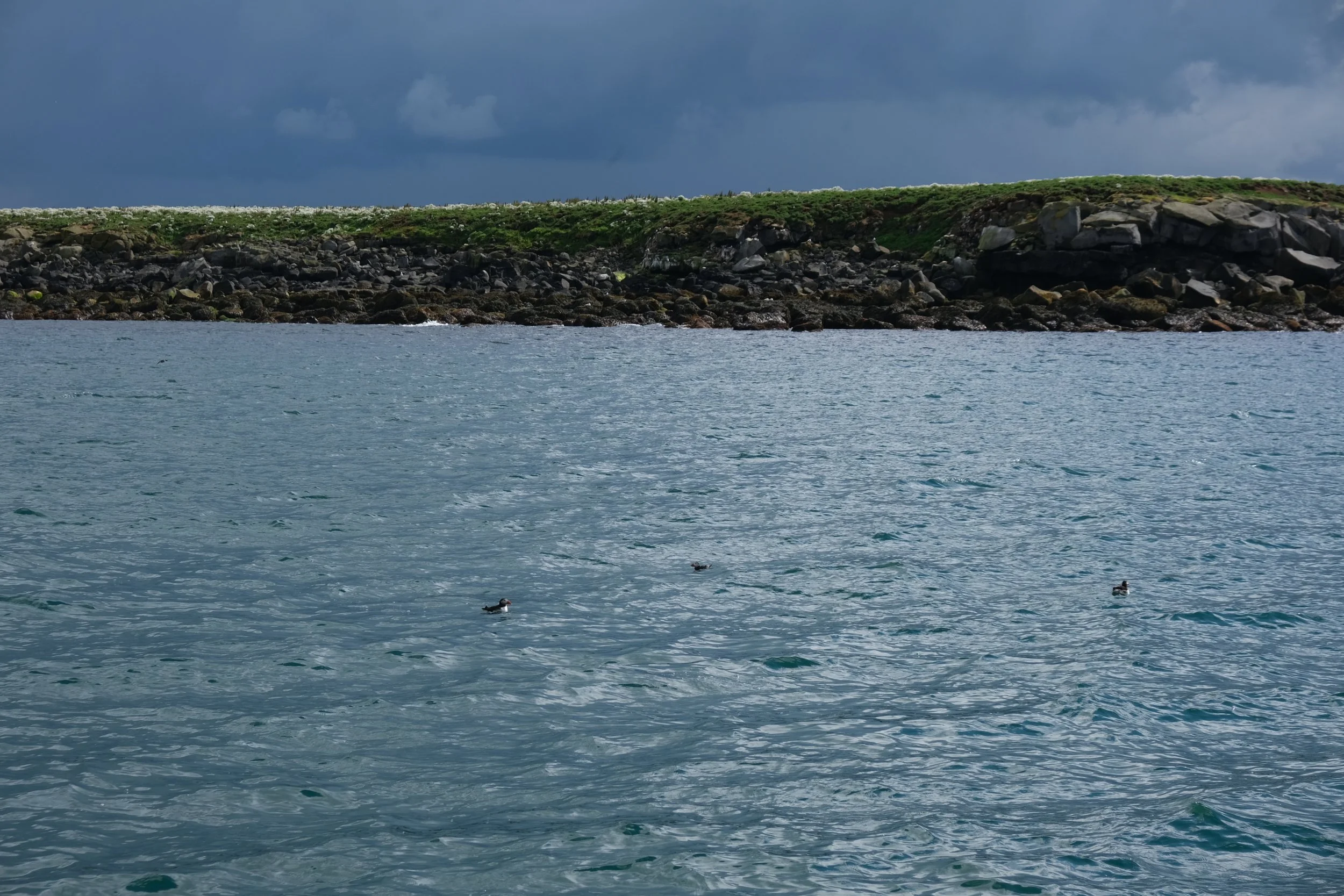 DSCF2259.JPG