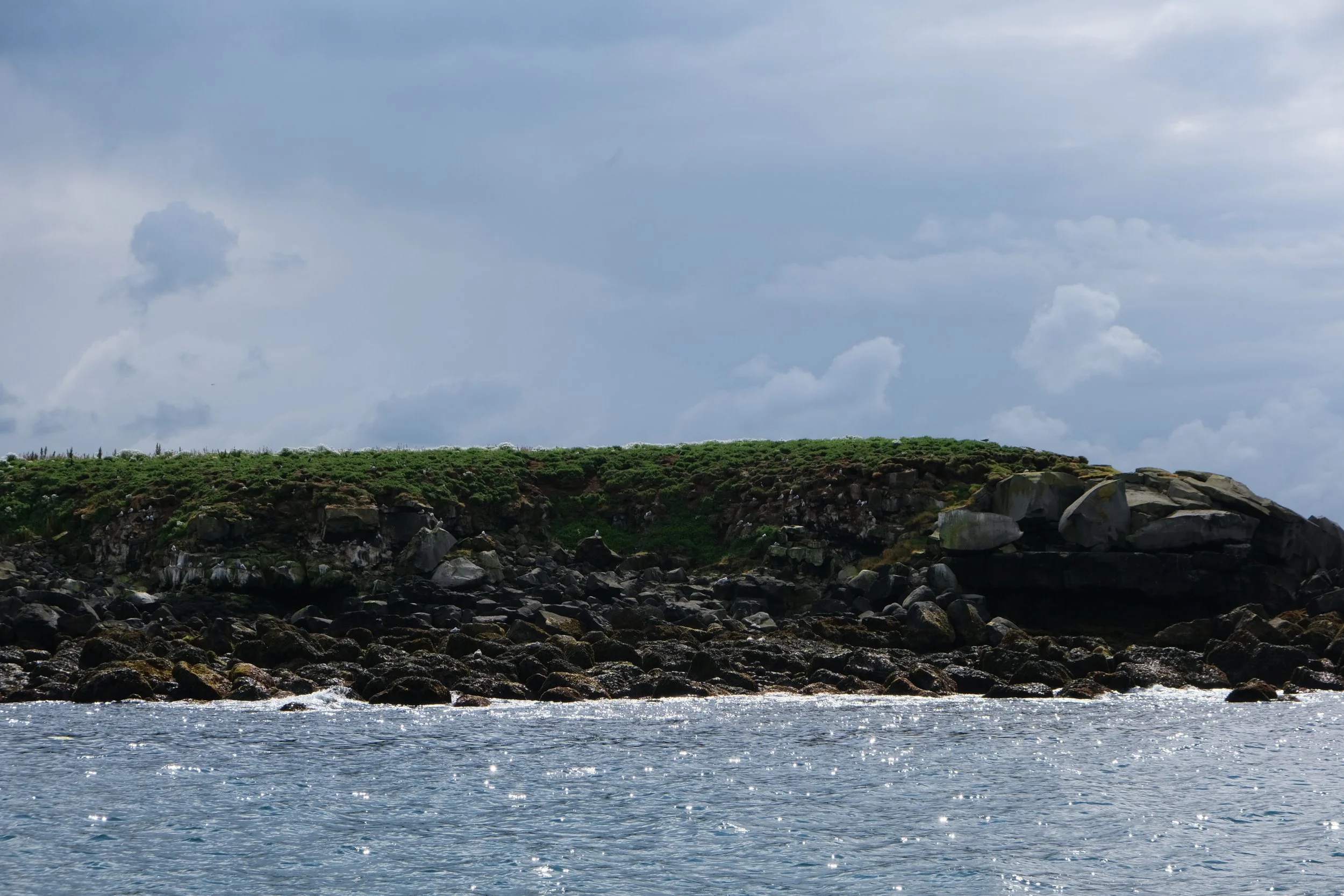 DSCF2264.JPG