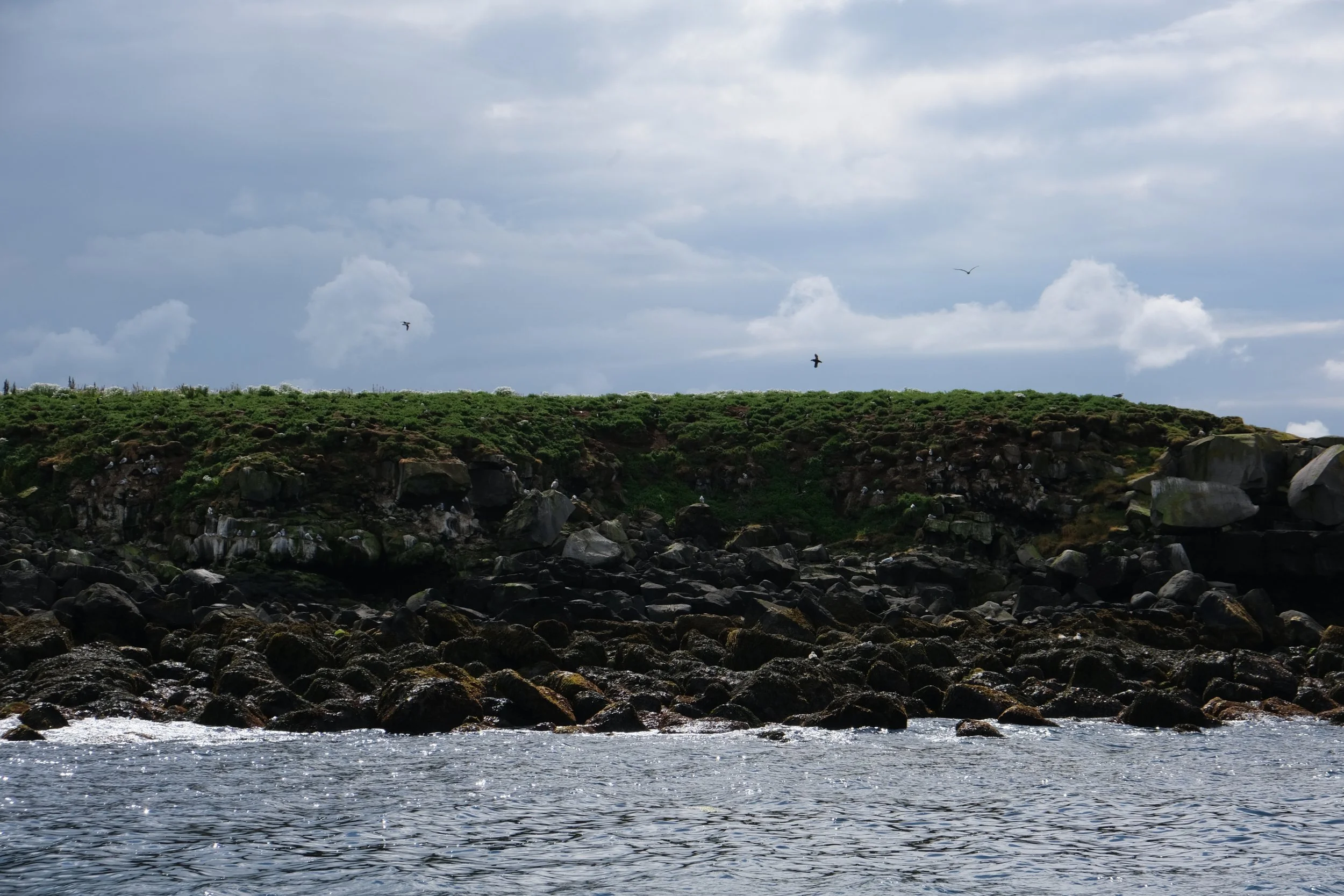 DSCF2265.JPG