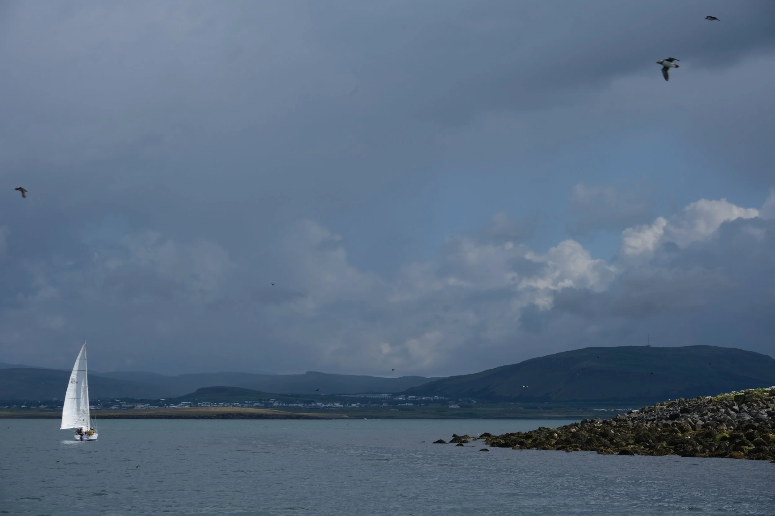 DSCF2266.JPG
