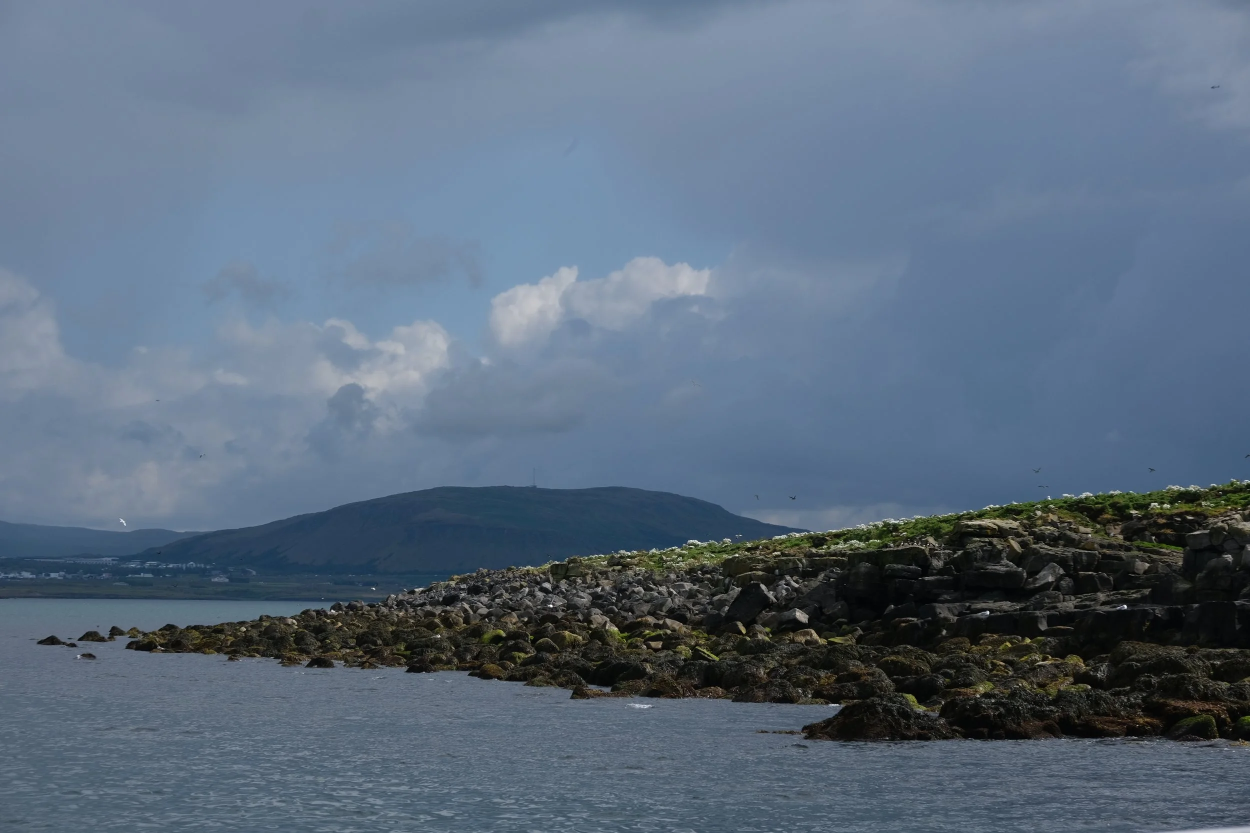 DSCF2268.JPG