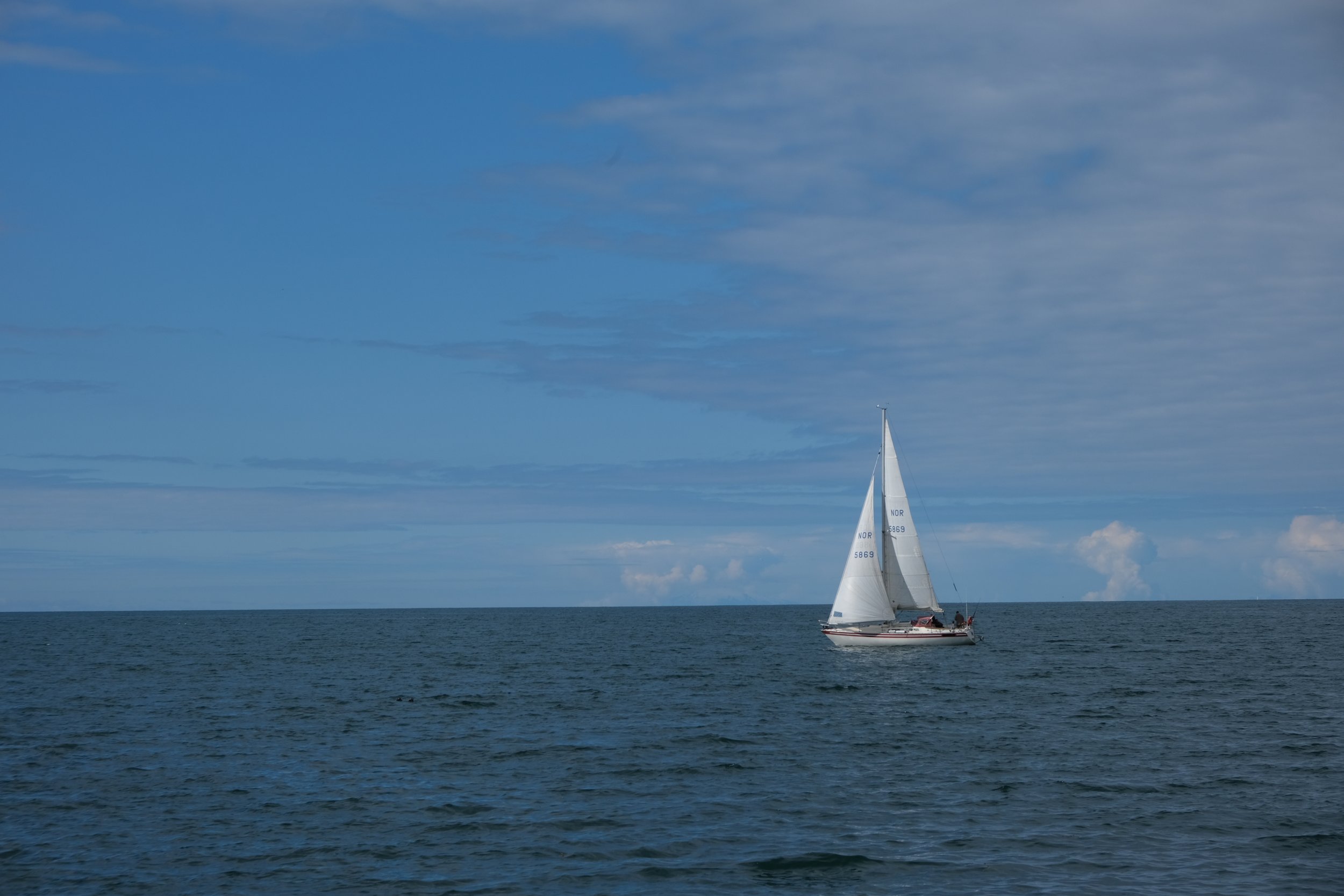 DSCF2269.JPG