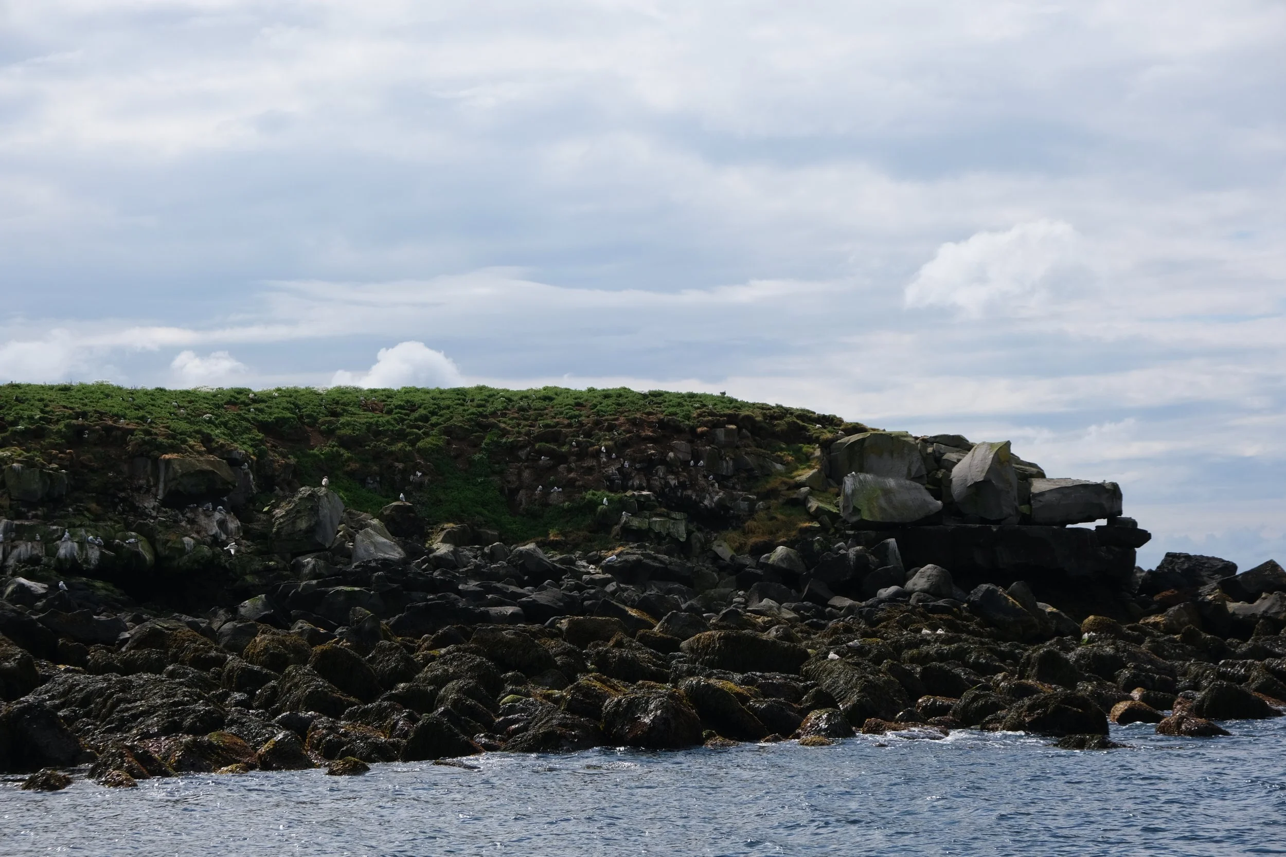 DSCF2272.JPG