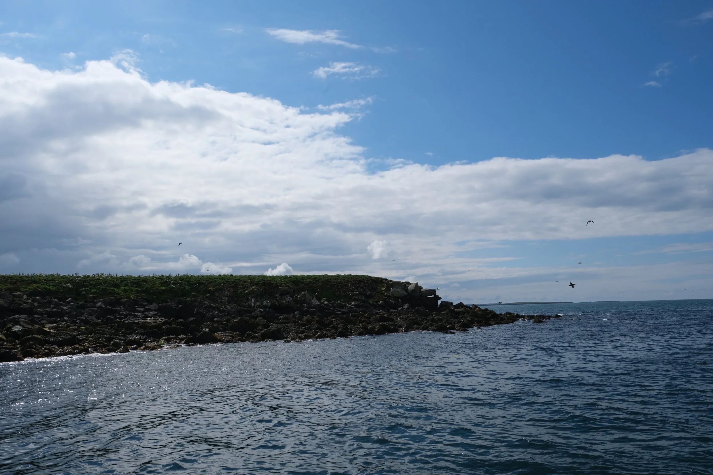 DSCF2273.JPG