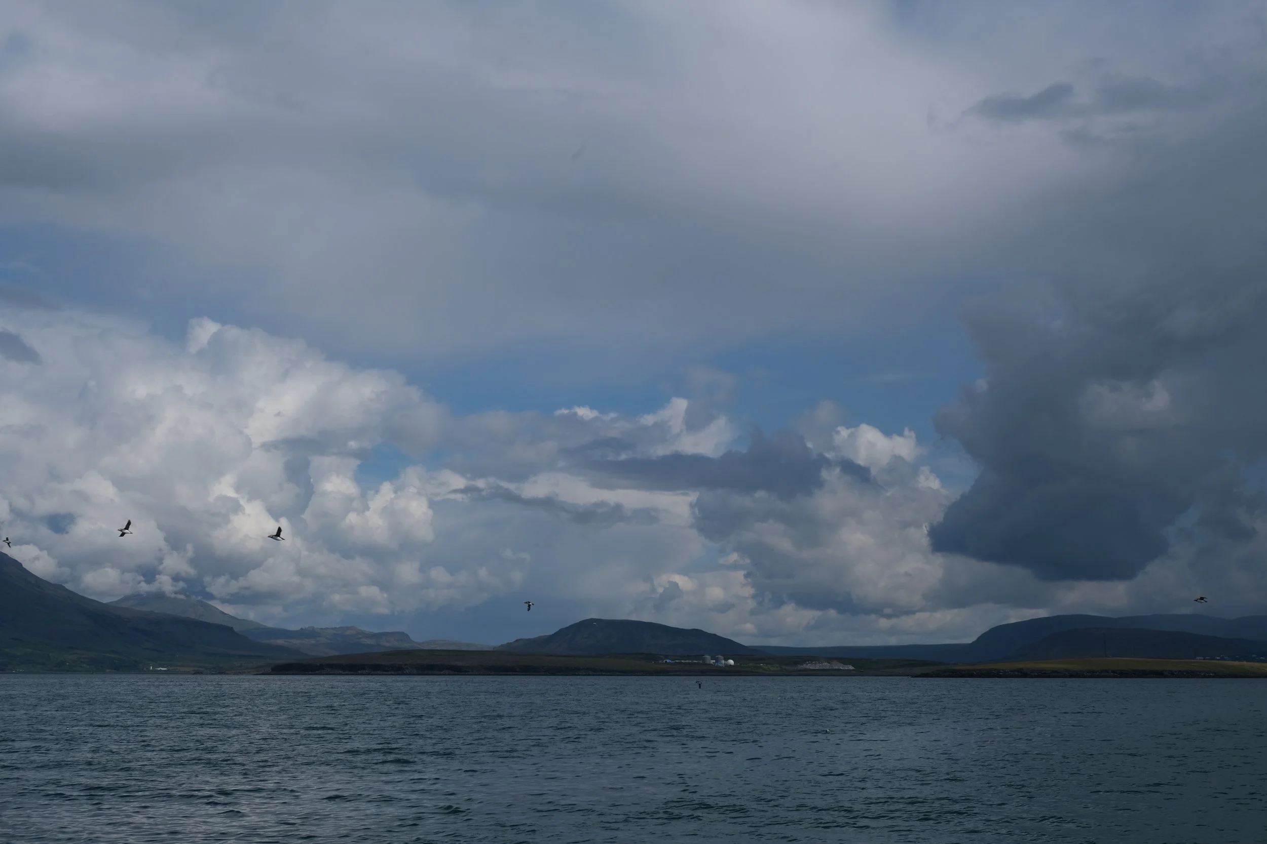 DSCF2274.JPG