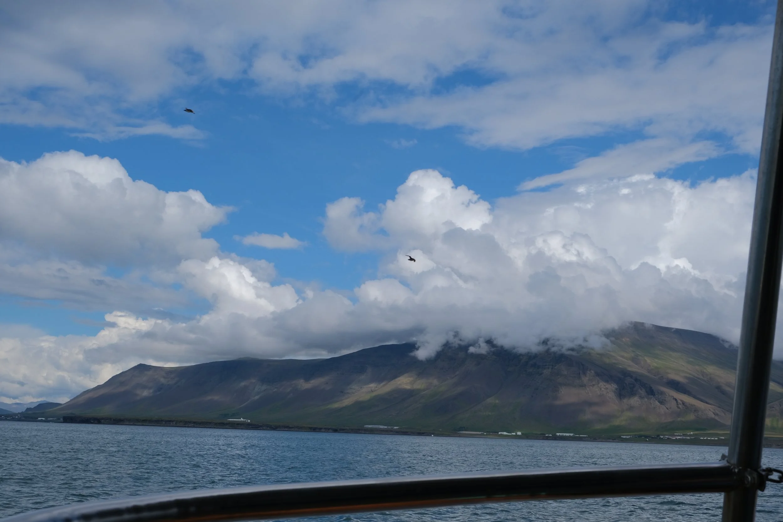 DSCF2275.JPG