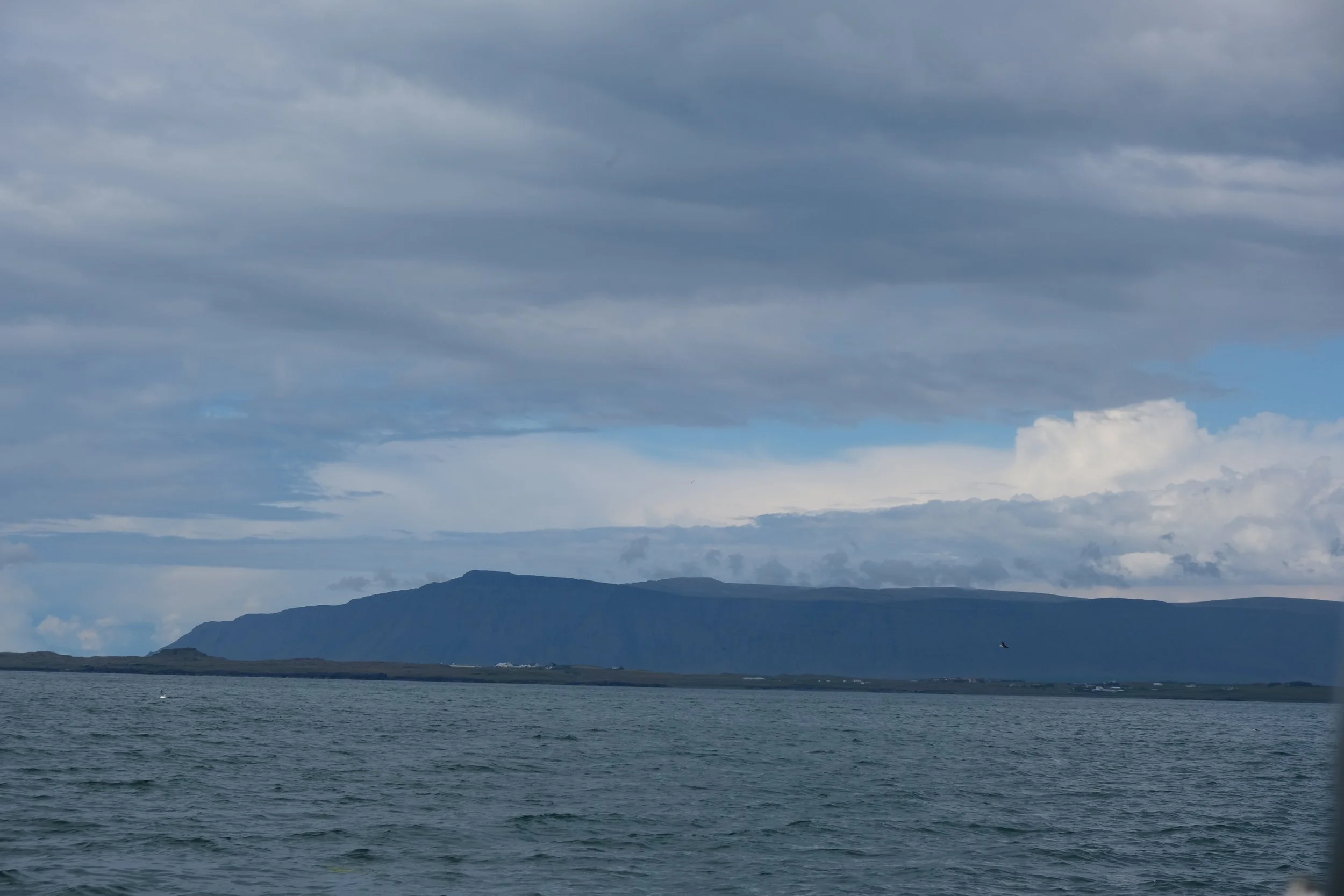 DSCF2276.JPG