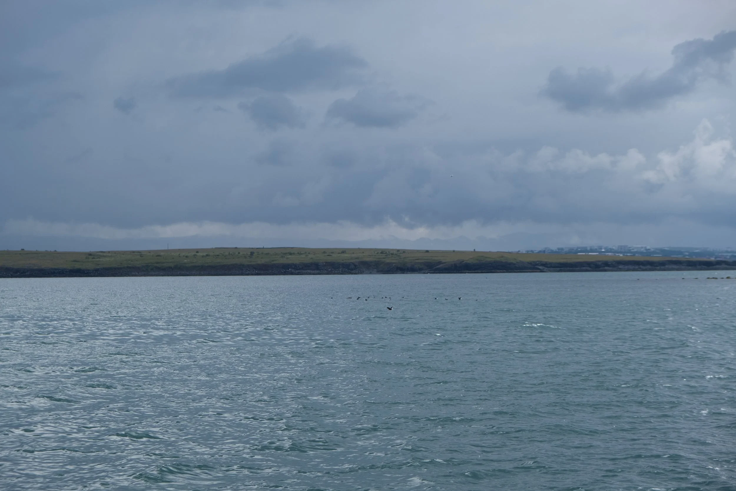 DSCF2277.JPG
