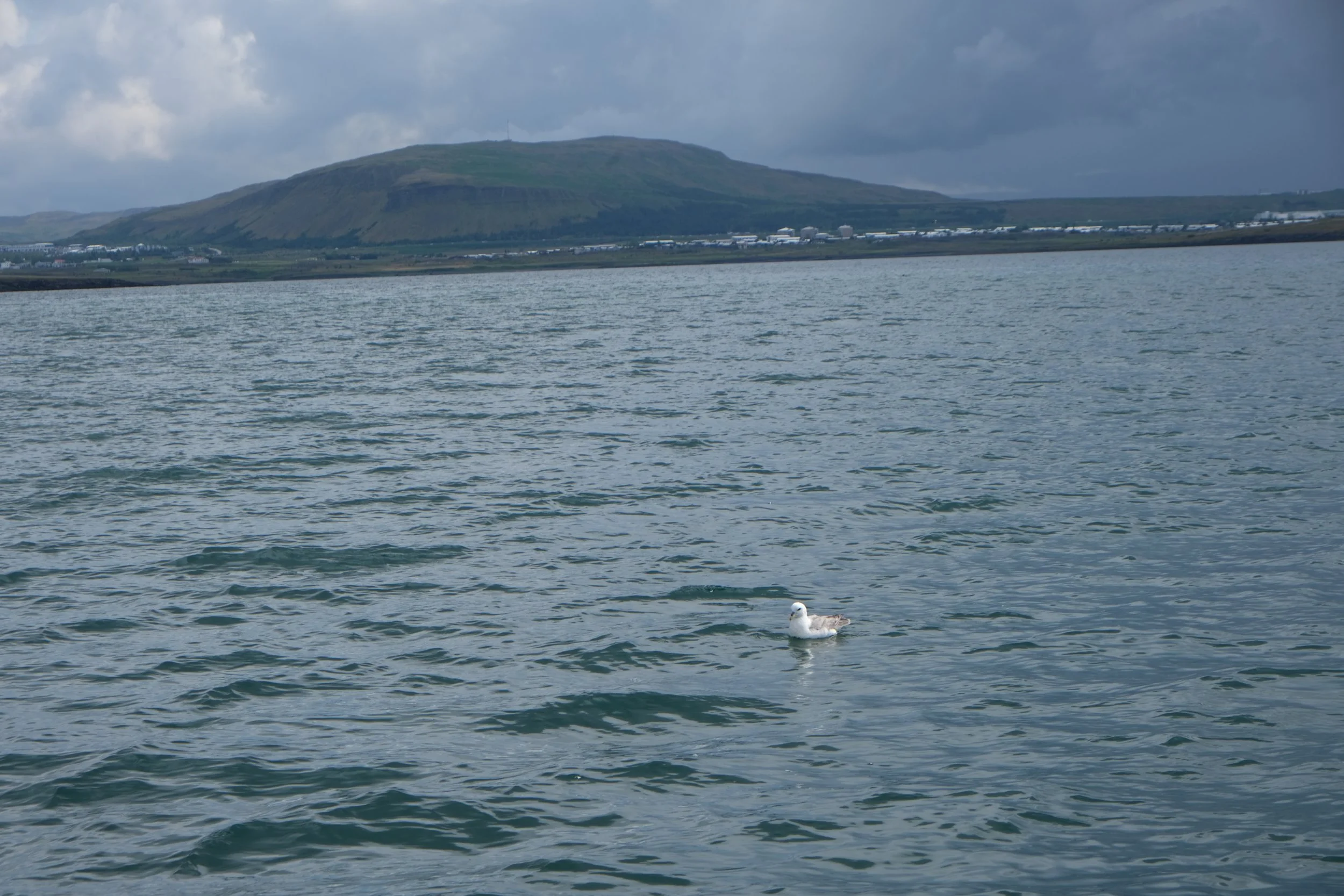 DSCF2278.JPG