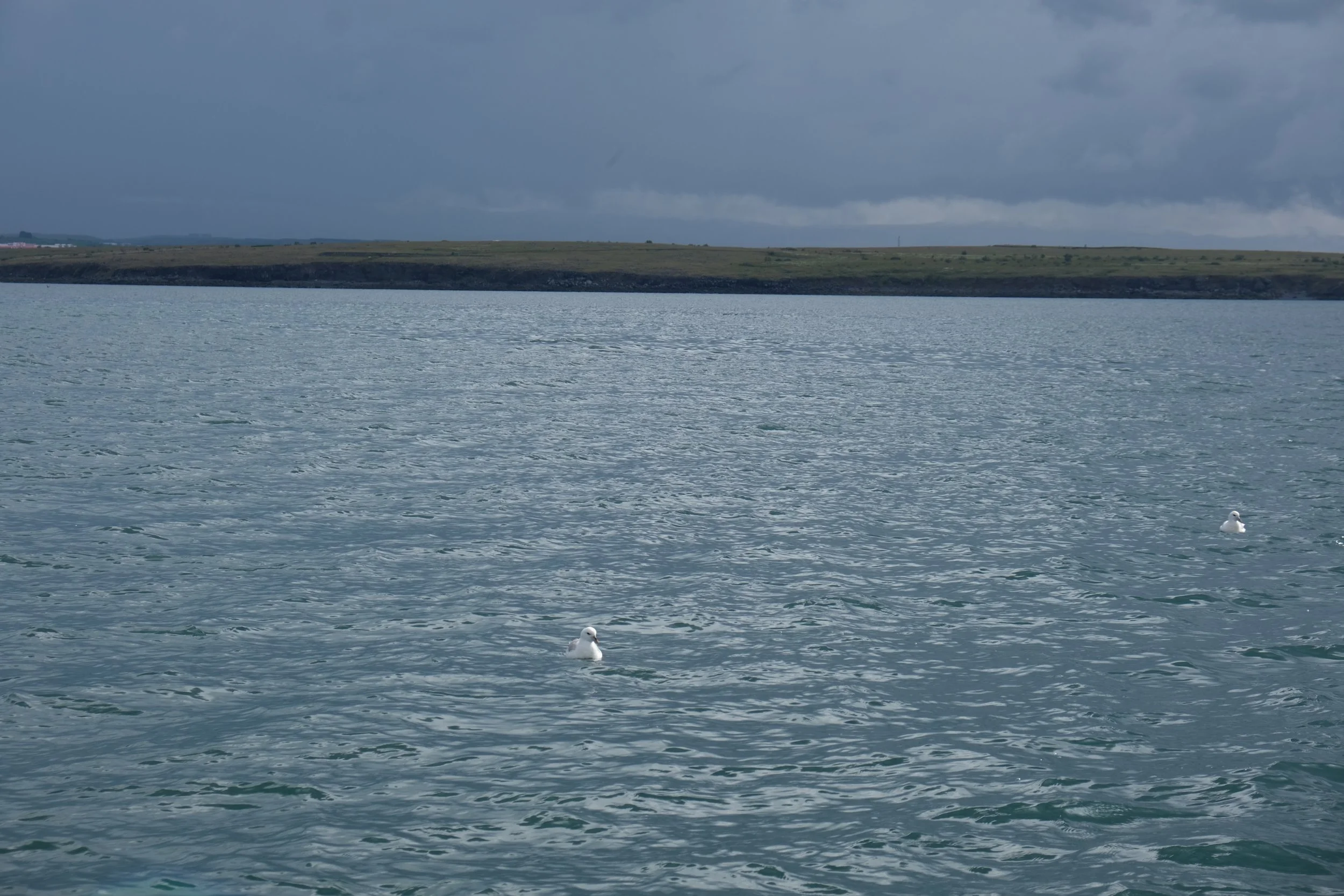 DSCF2279.JPG