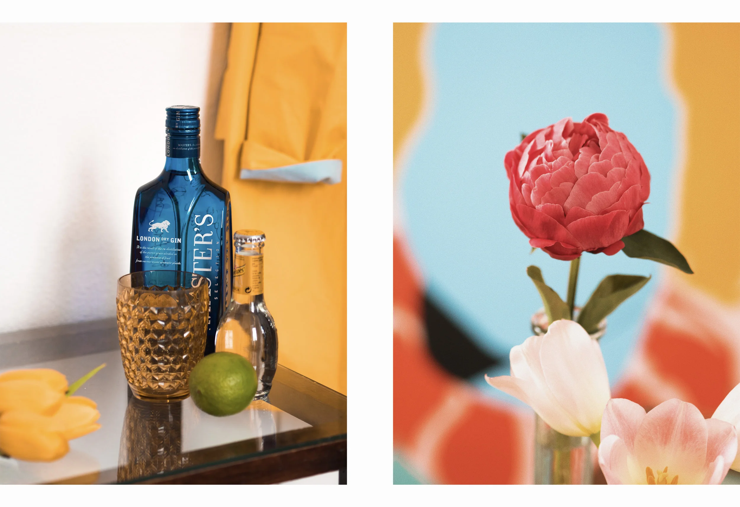 Coco Dávez for Master's Gin.jpg