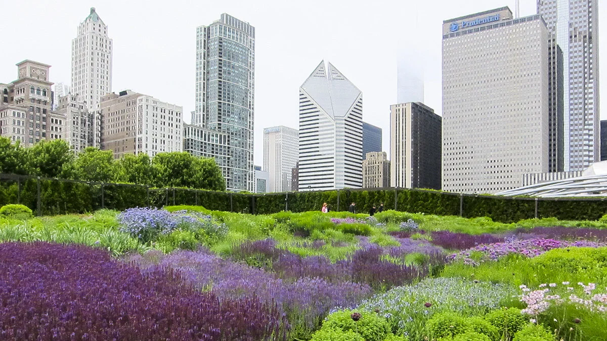 The Lurie Garden, Millennium Park, Chicago.