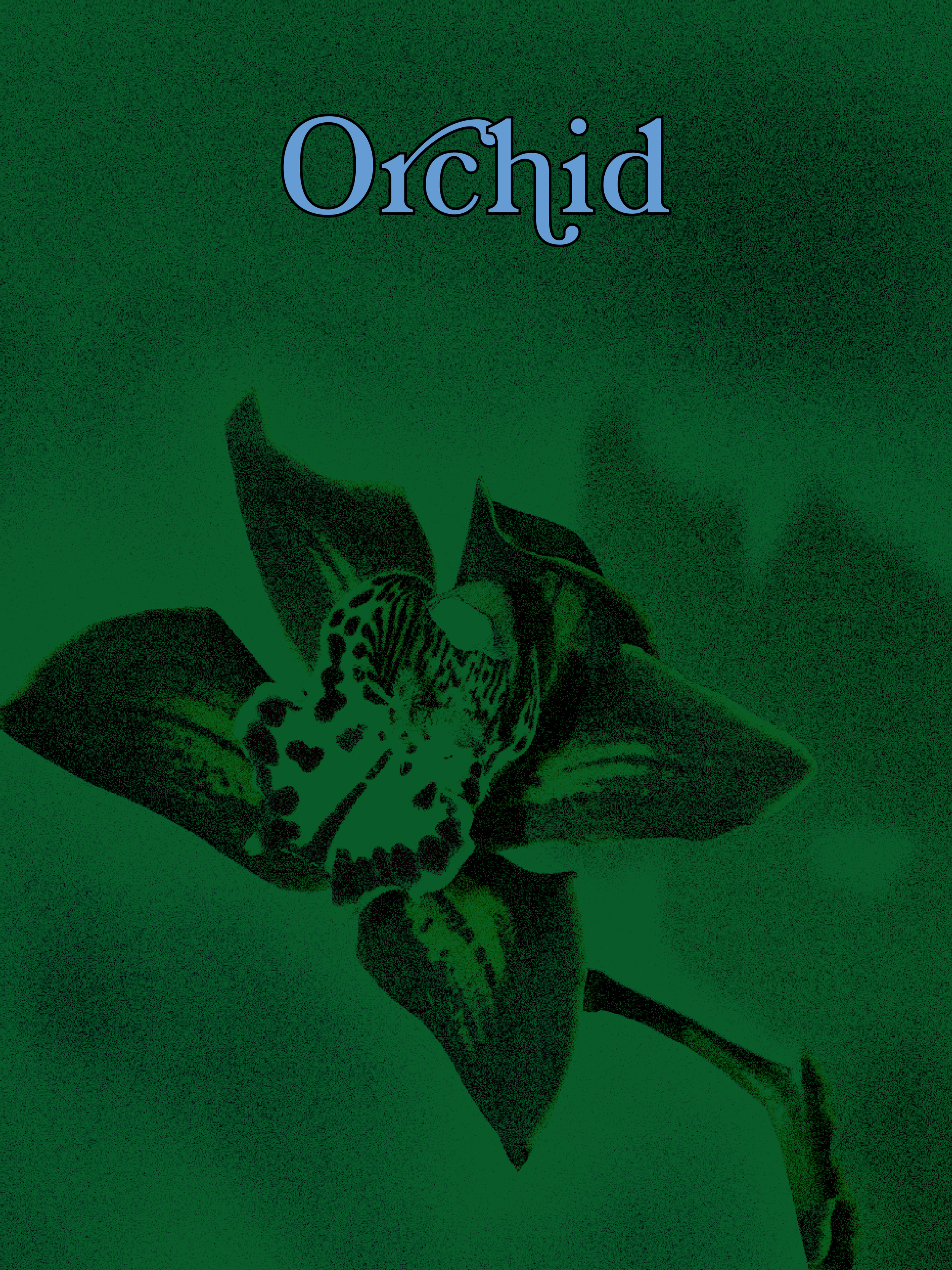 IMG_7285.PNG