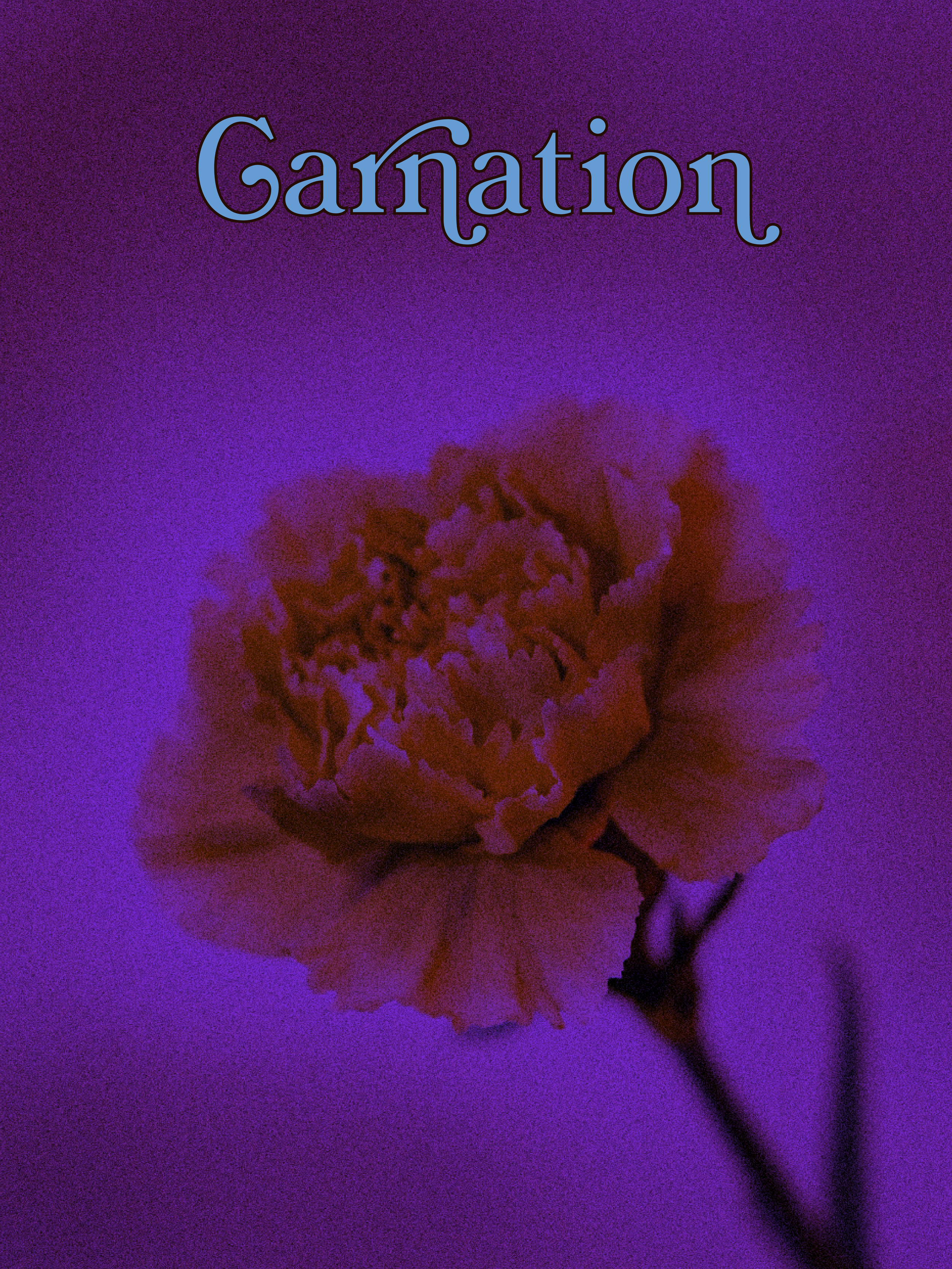 IMG_7281.PNG