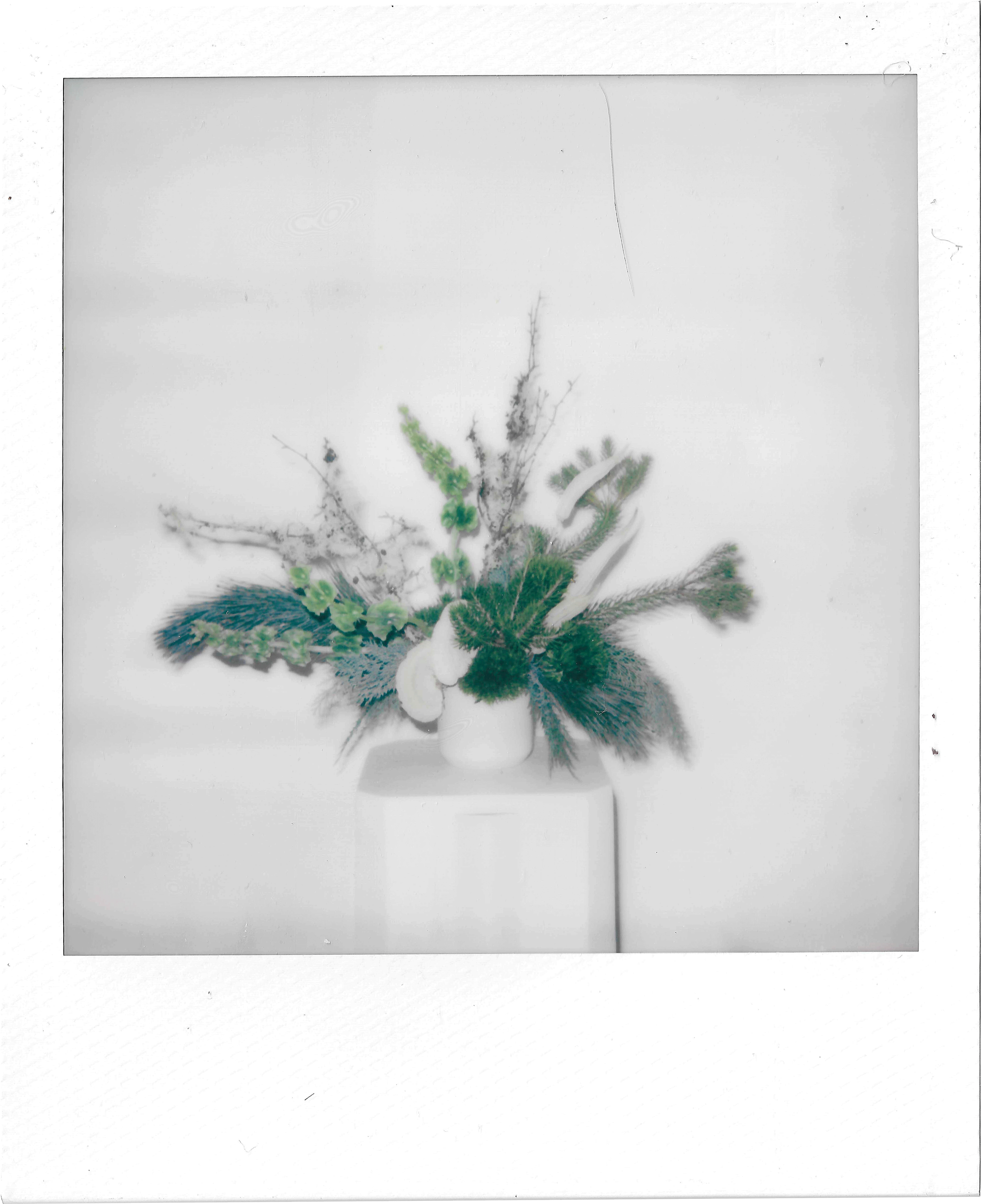 B&Y_Winter_Polaroid_0000_Layer-1-copy.png