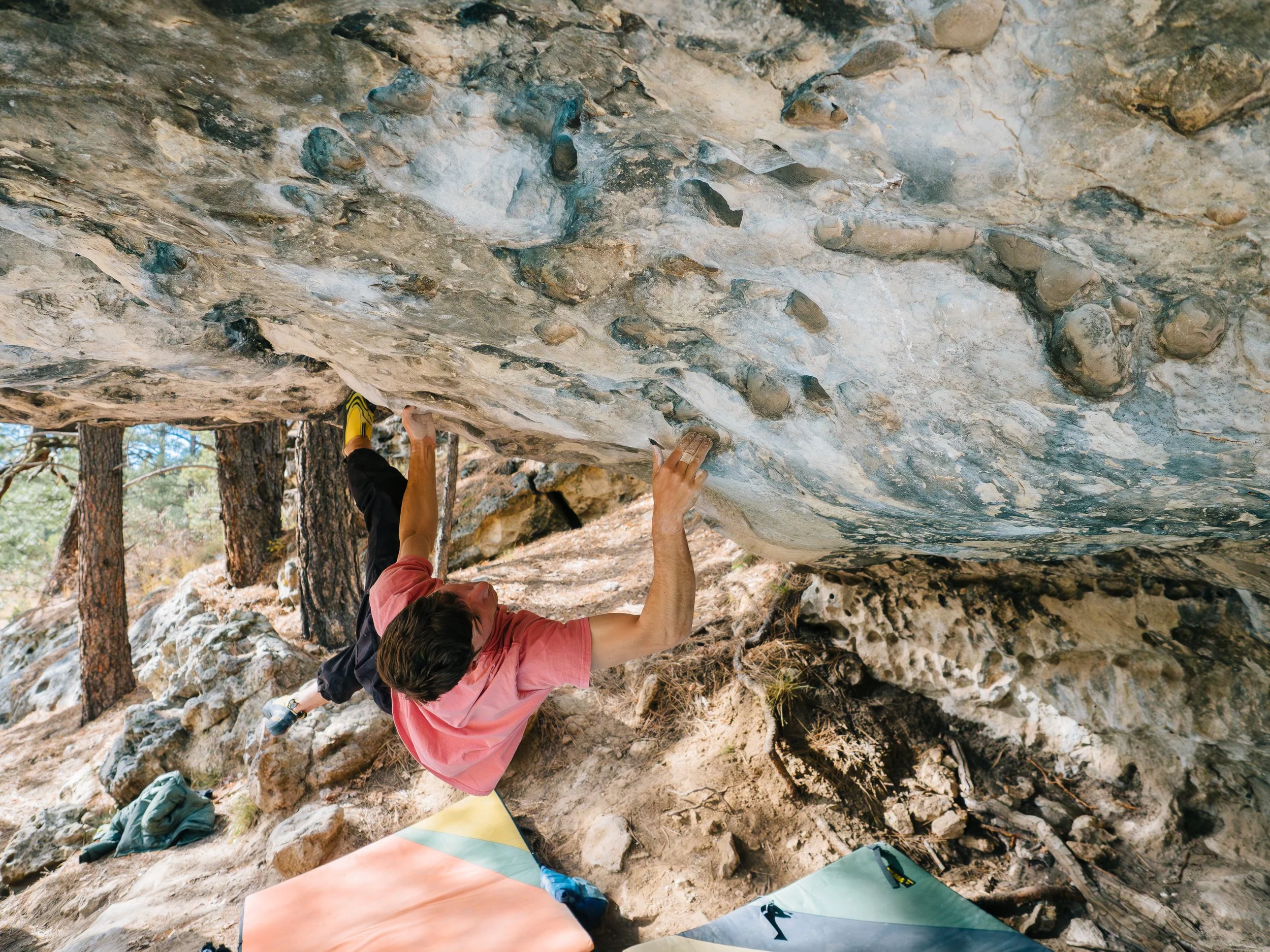   Eat Meater   Priest Draw, AZ 