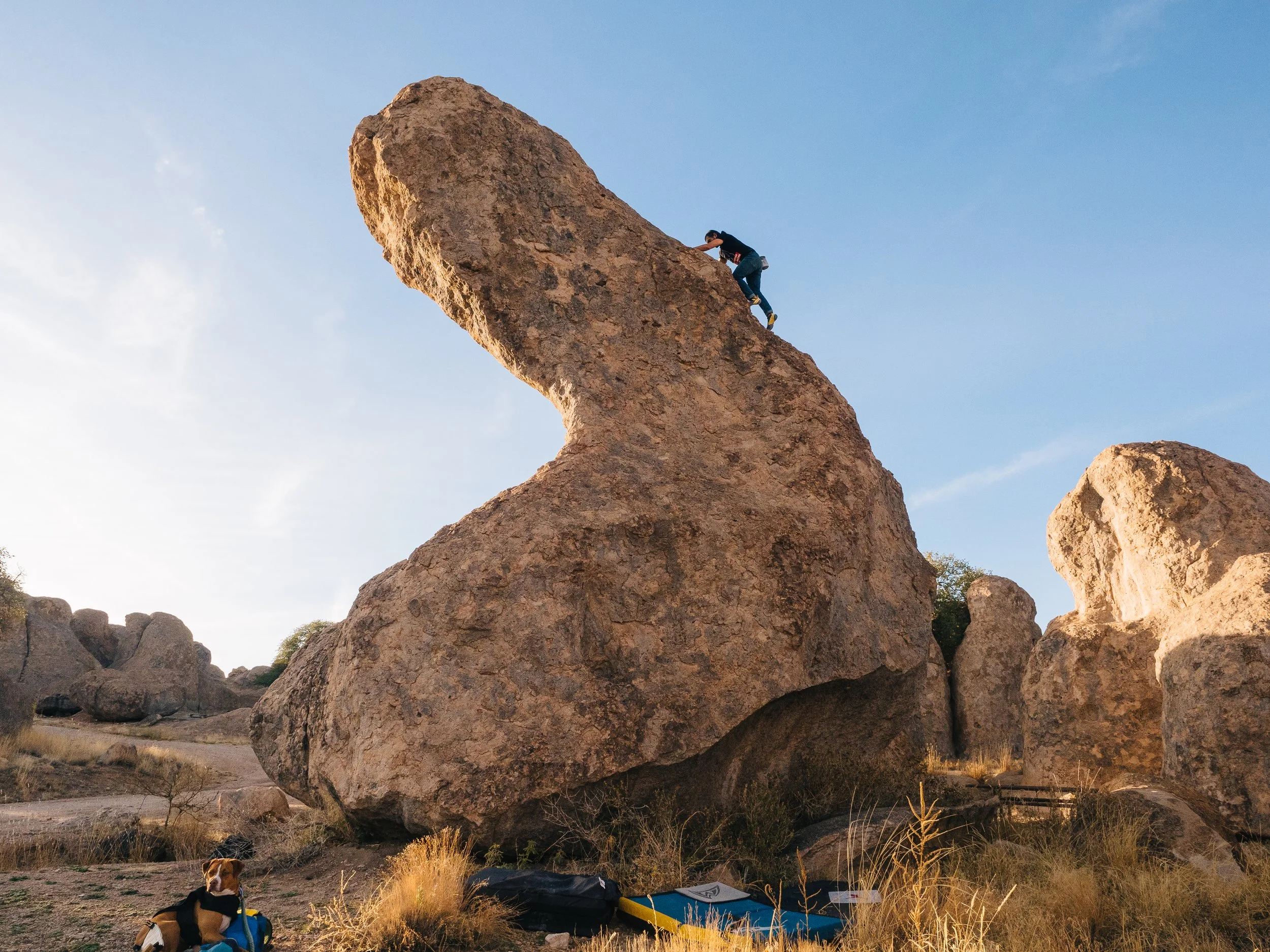  Porn Star   City of Rocks State Park, NM    