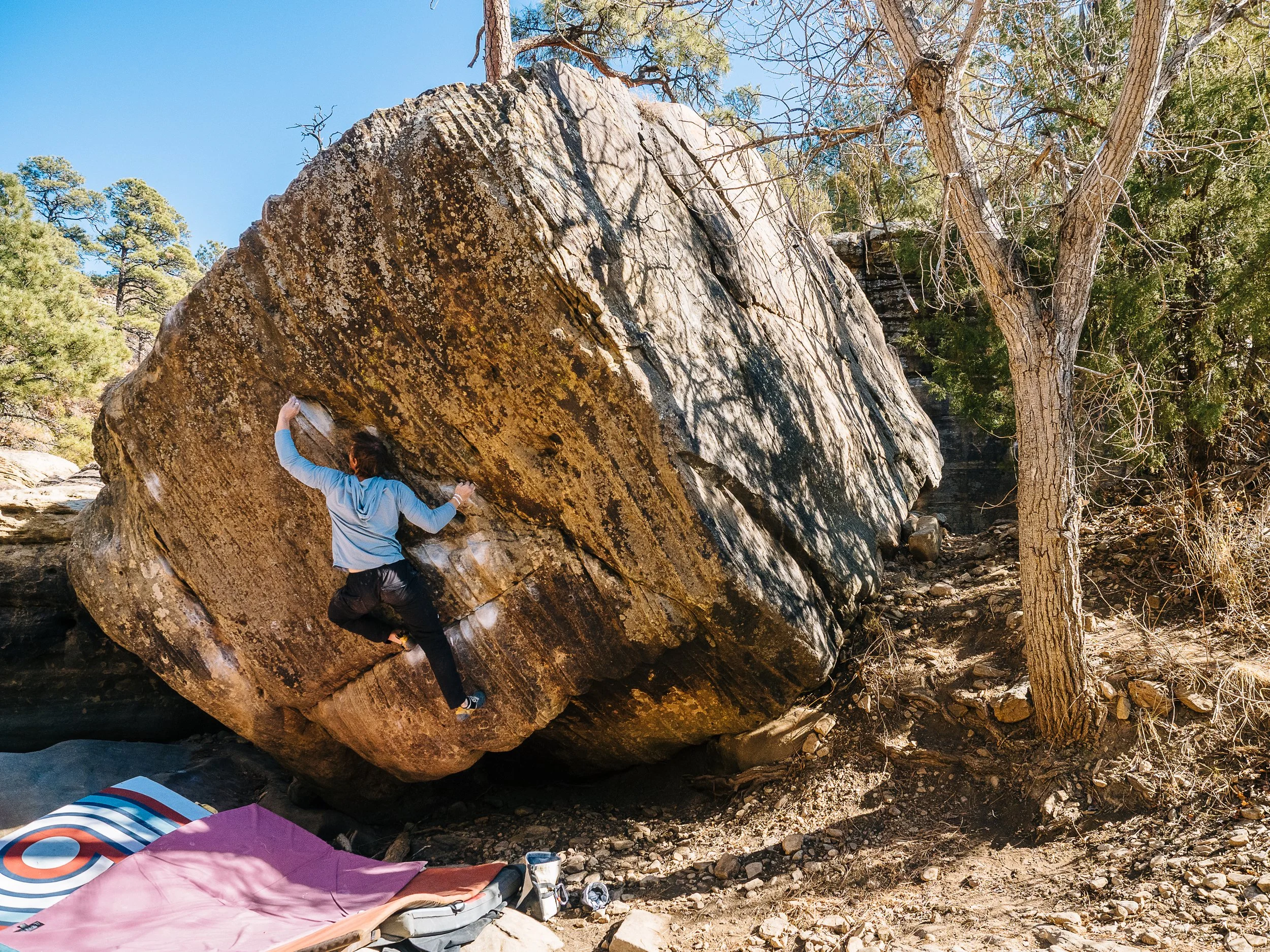   Puddle Jumper   Roy, NM 