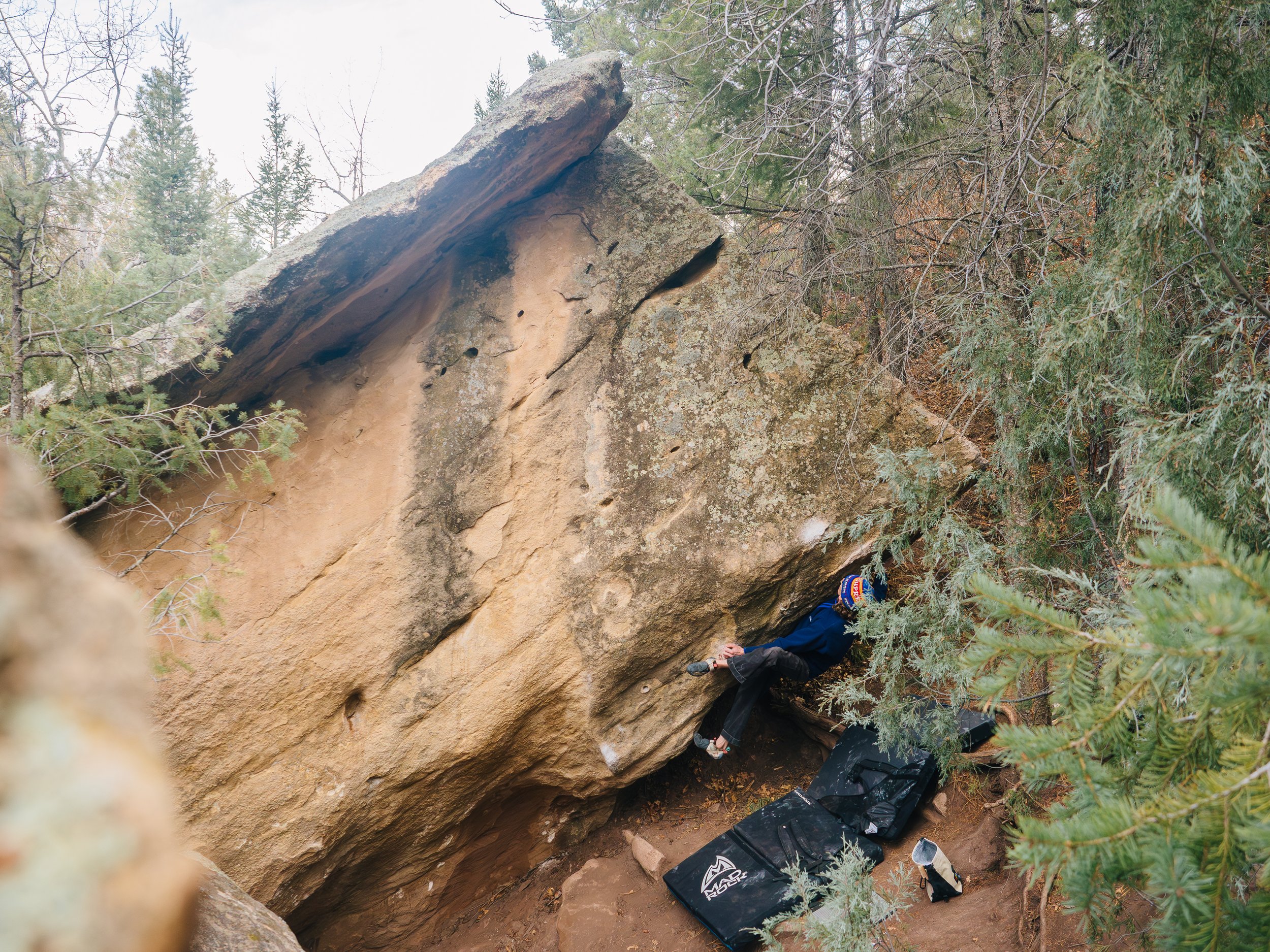   Hello Panda   Grasshopper Canyon, NM 