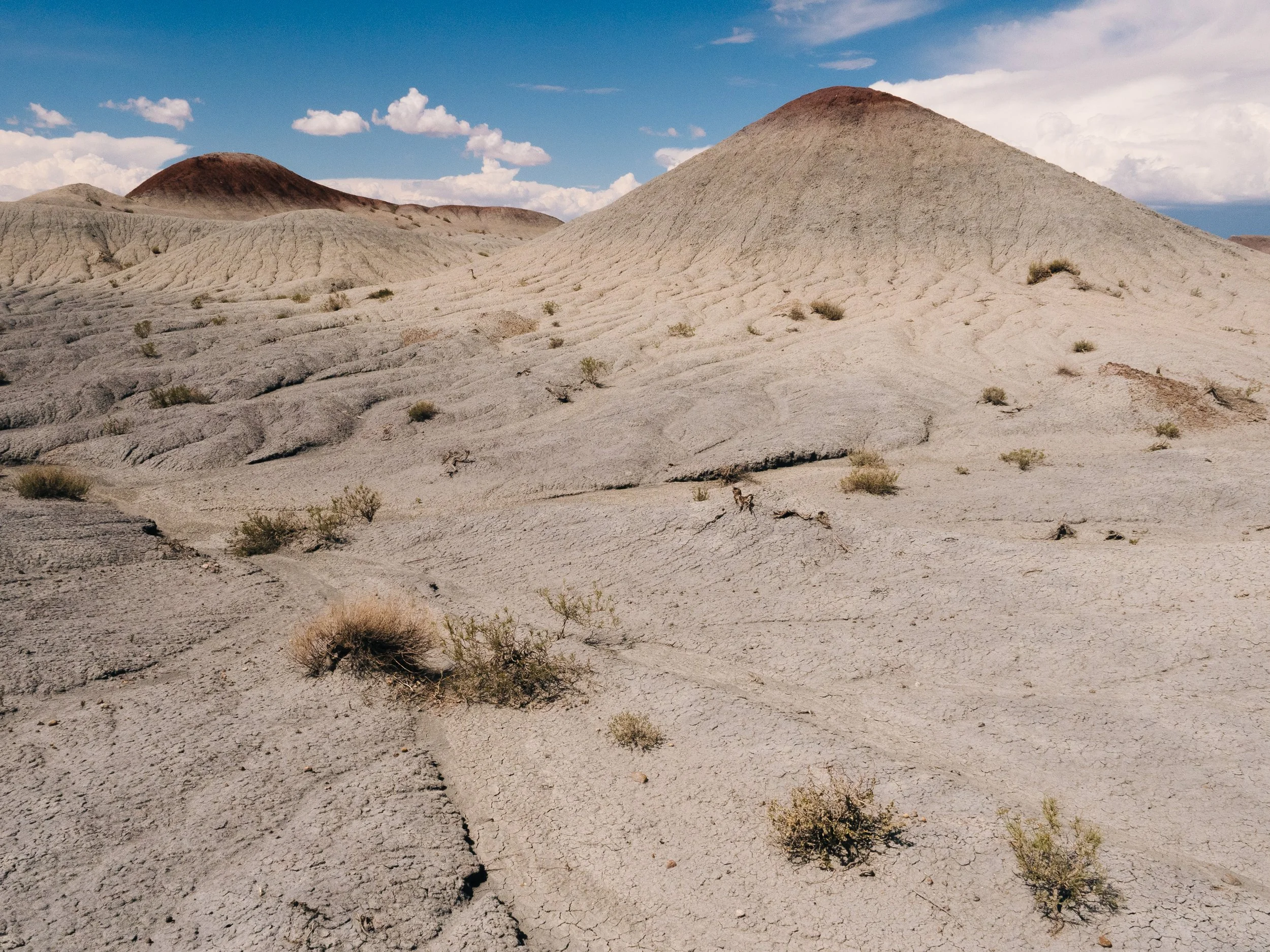 20240902_Murphy_Petrified_Forest_006.jpg