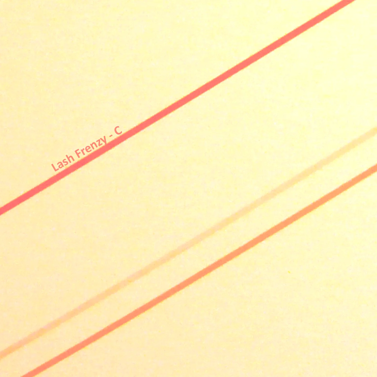 cd on body print.jpg