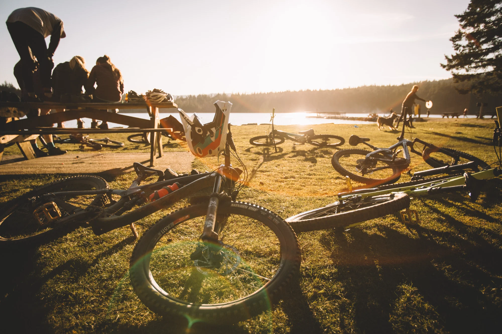 Bikes